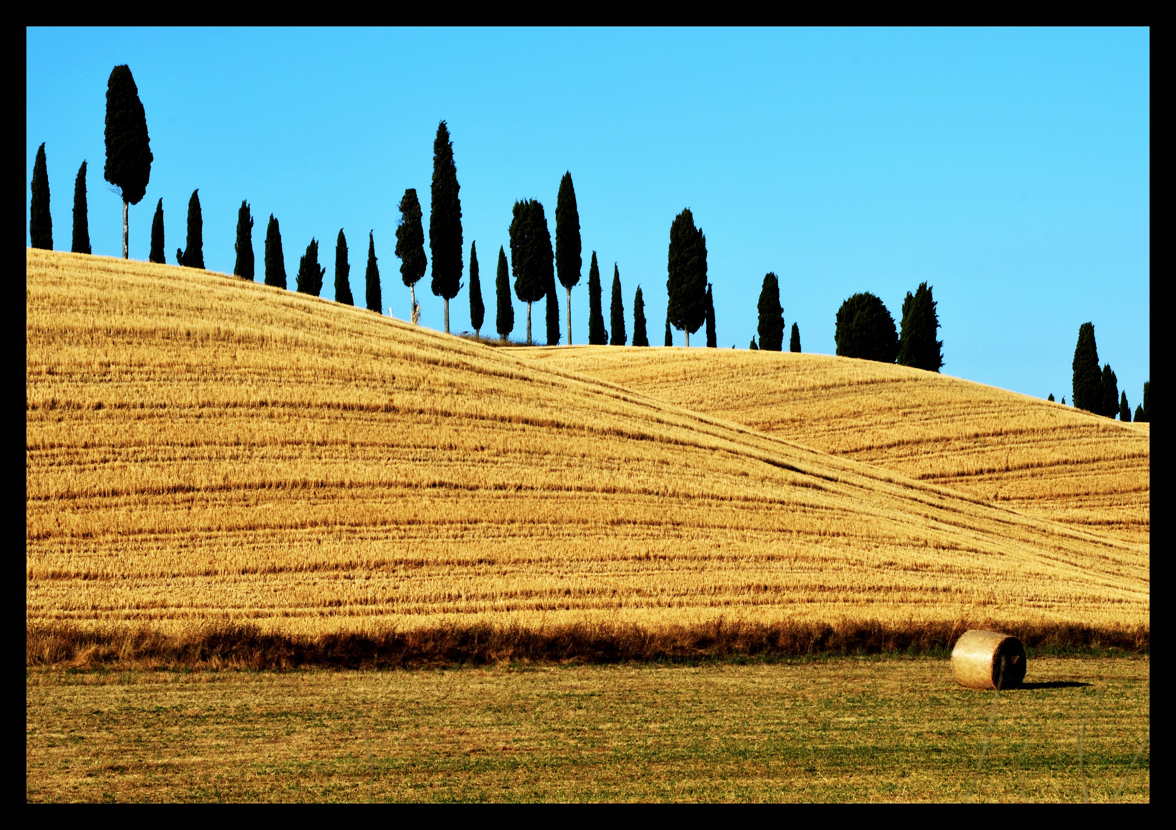 Collection of brushes ....!