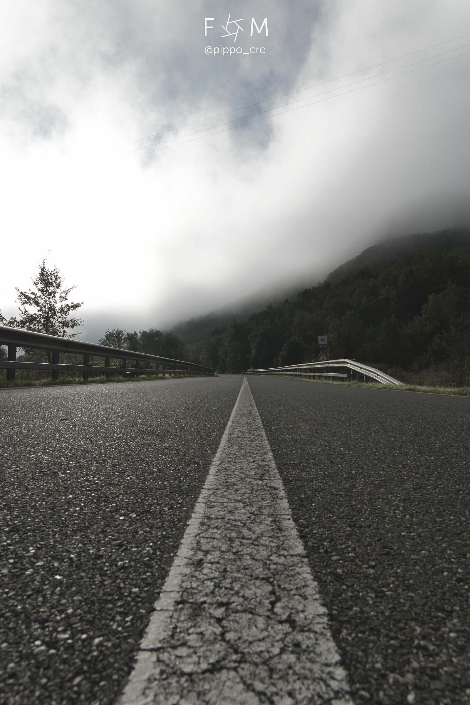 Foggy Morning