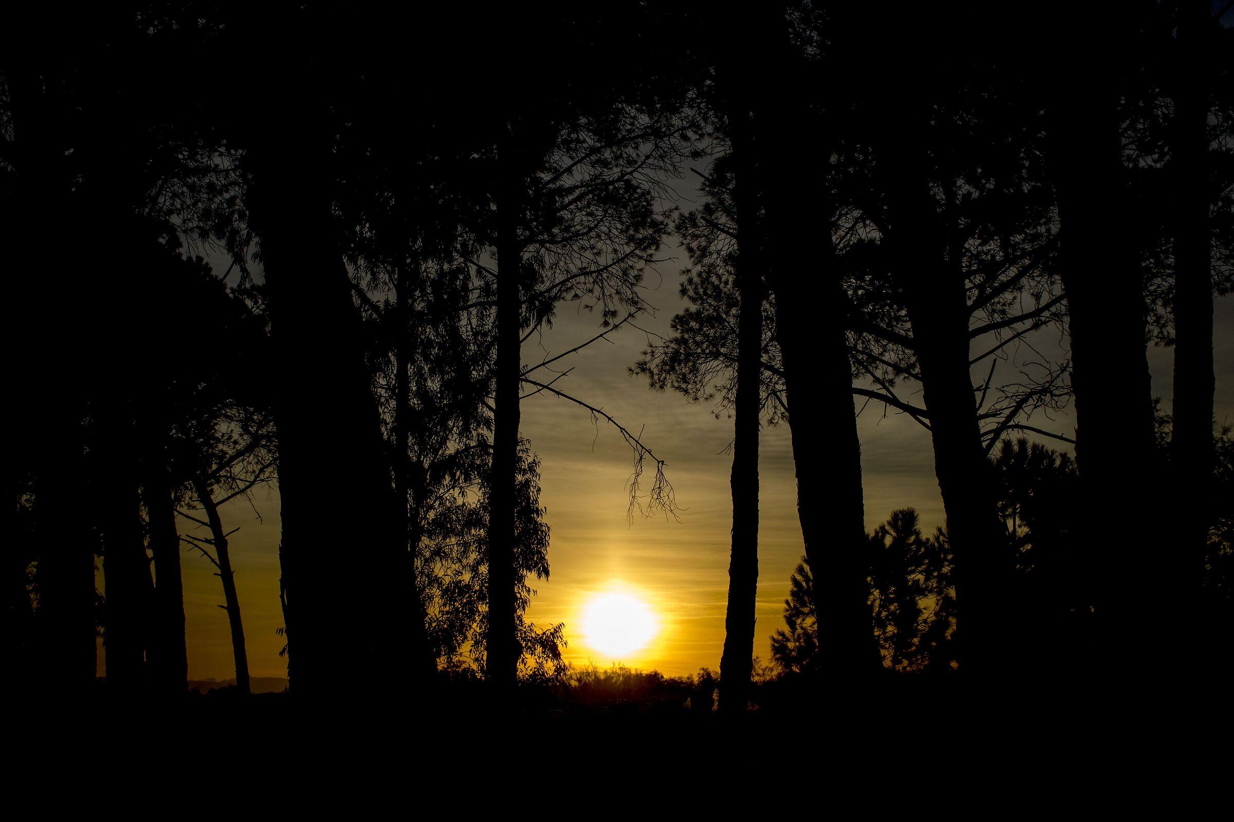 Buio e luce.....nelle nostre vite