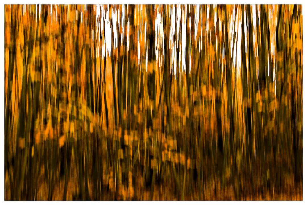 L'autunno dell'Amiata