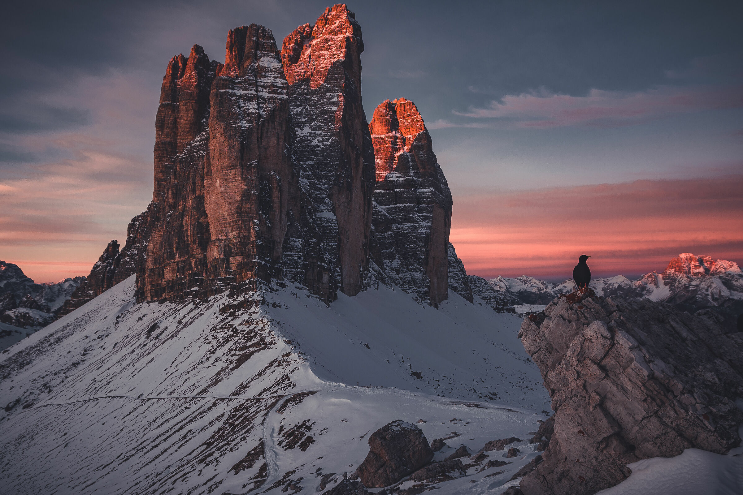 alba con una curiosa compagnia