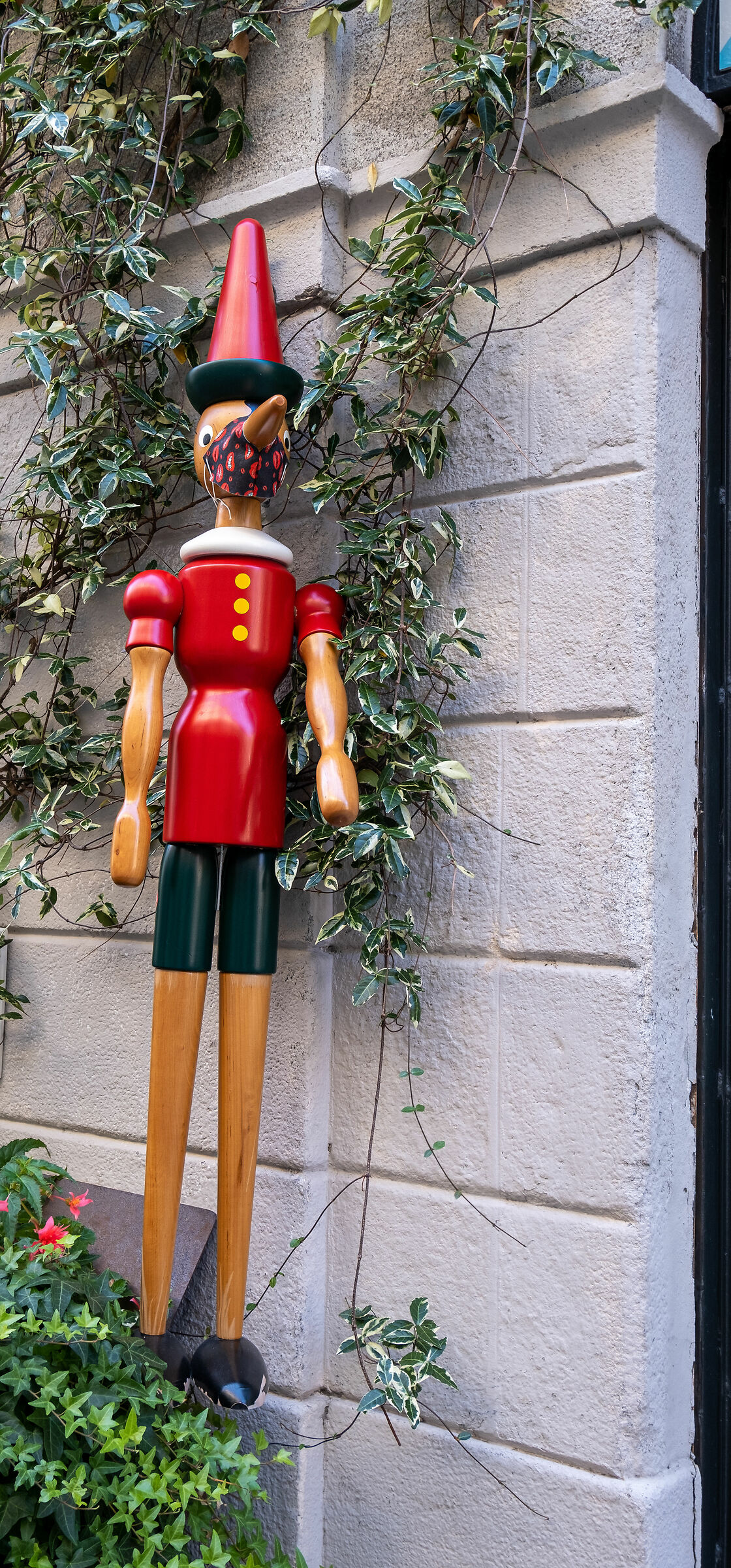 Pinocchio modello covid