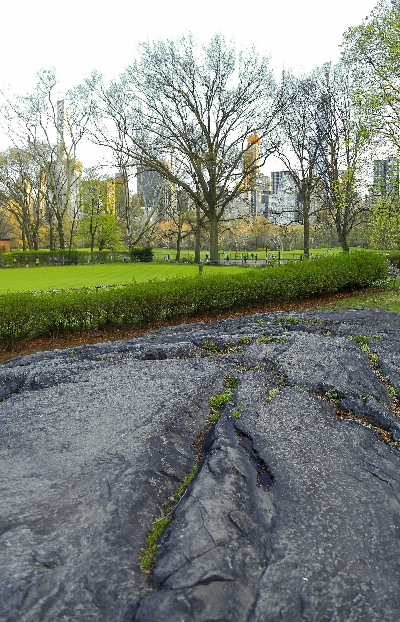 Central Park NY