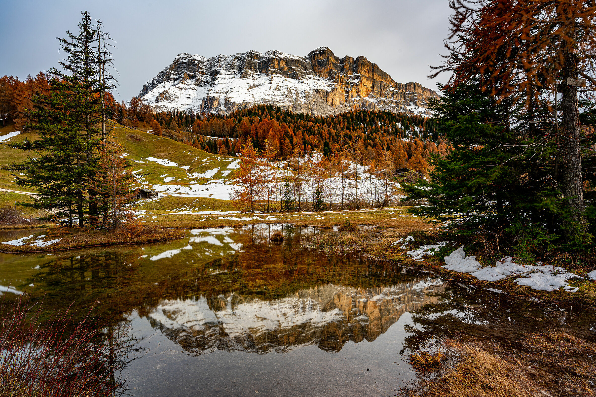 Fall-winter collection