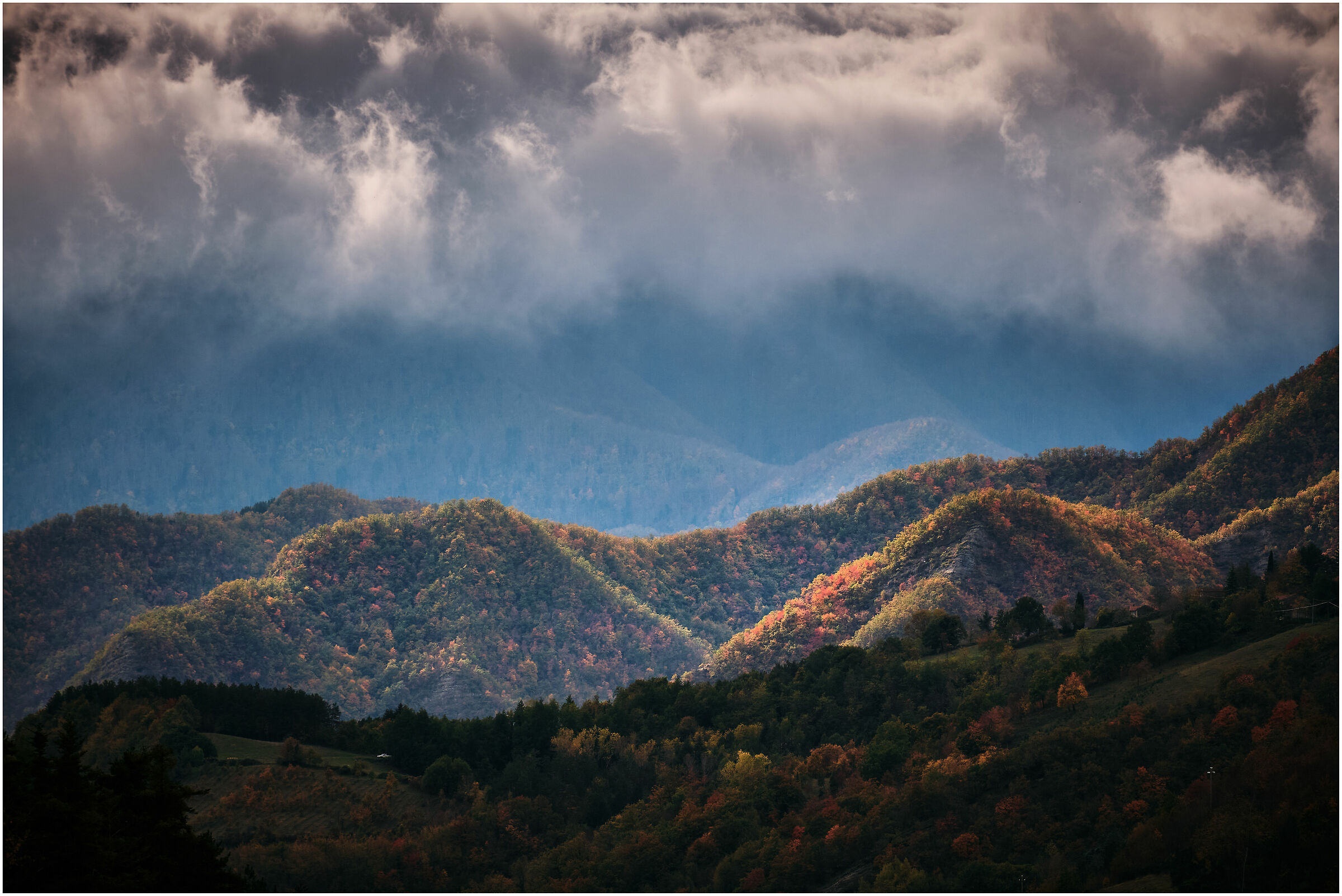 Panorama of Casentinensi forests