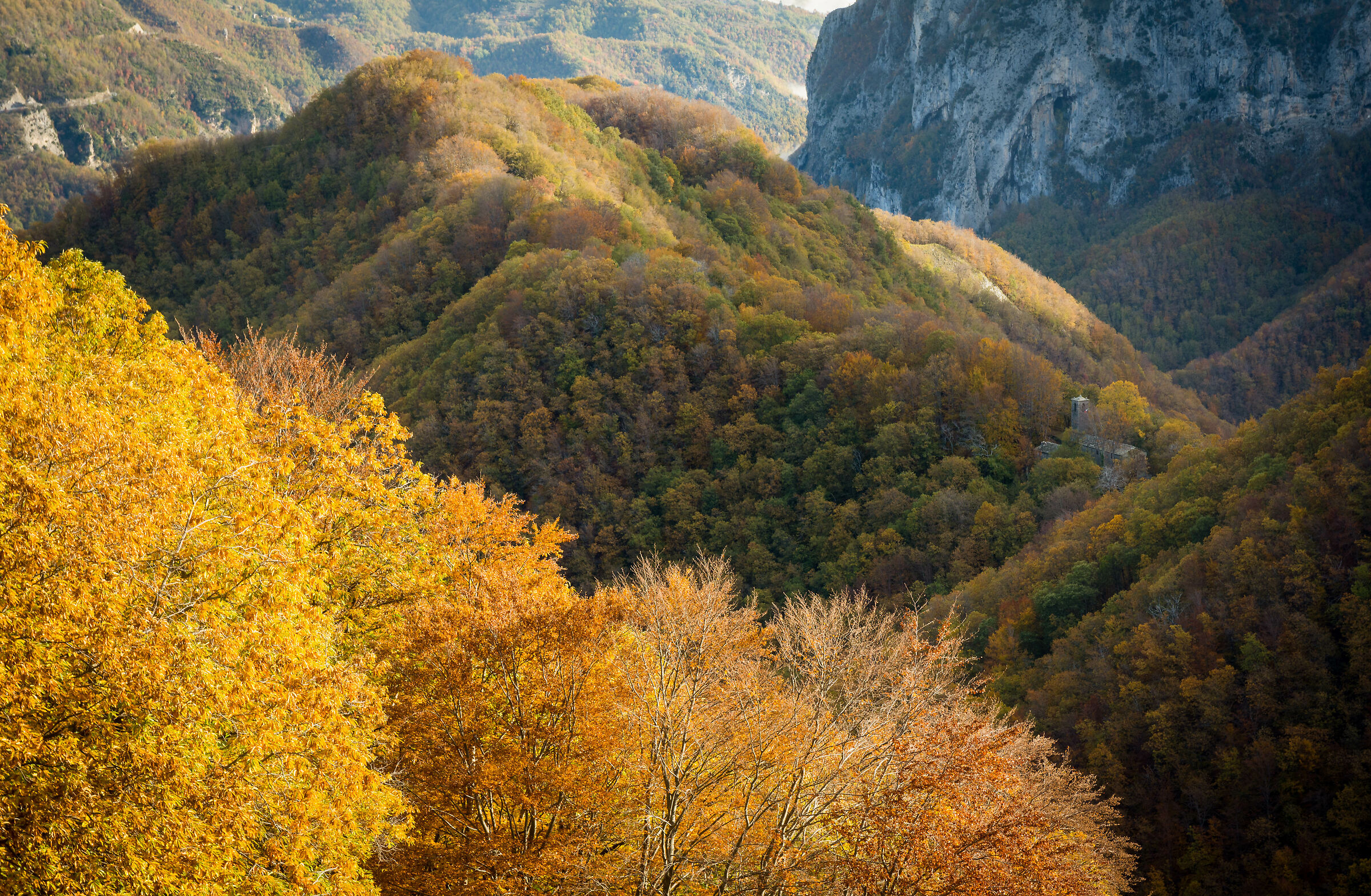 La chiesa nel bosco