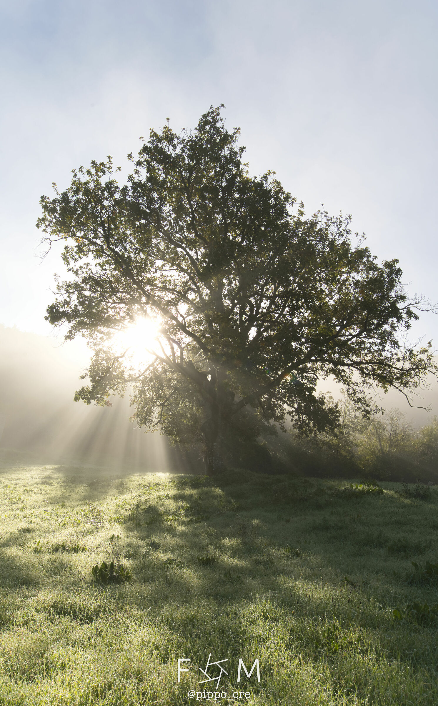 Fog, early in the morning