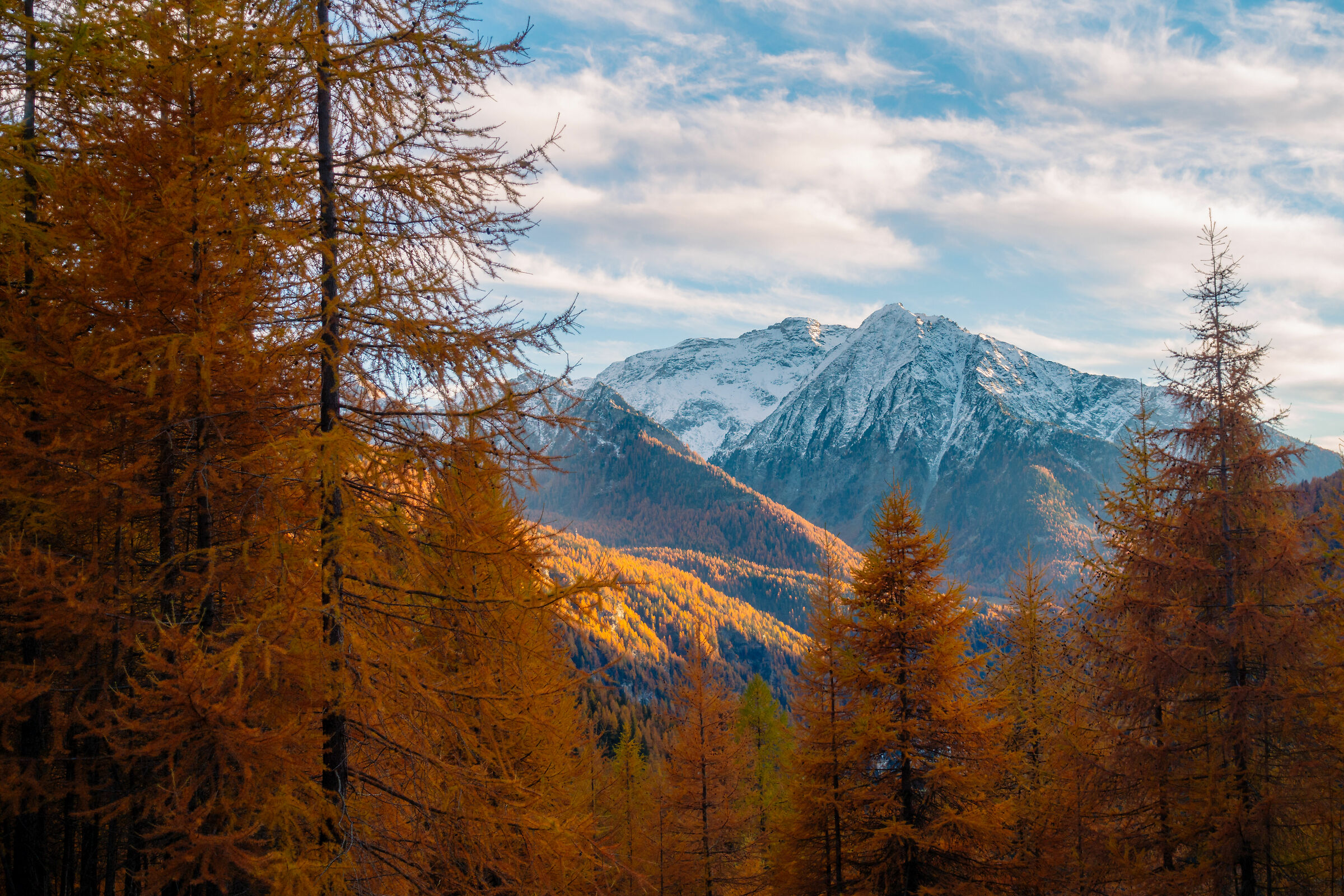 Autumn mountain in snow