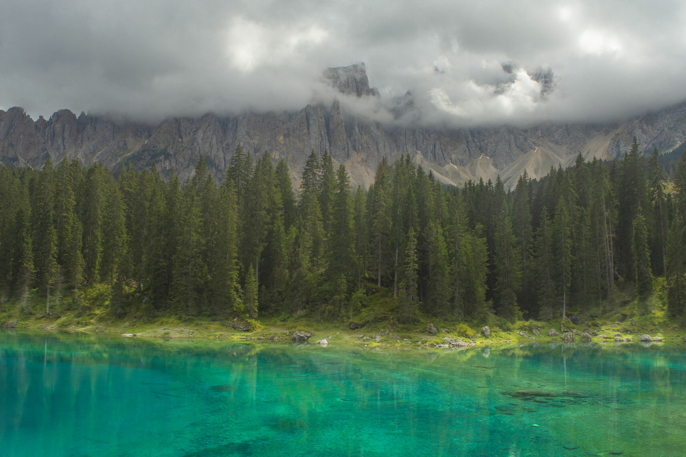 Un ricordo dell'estate