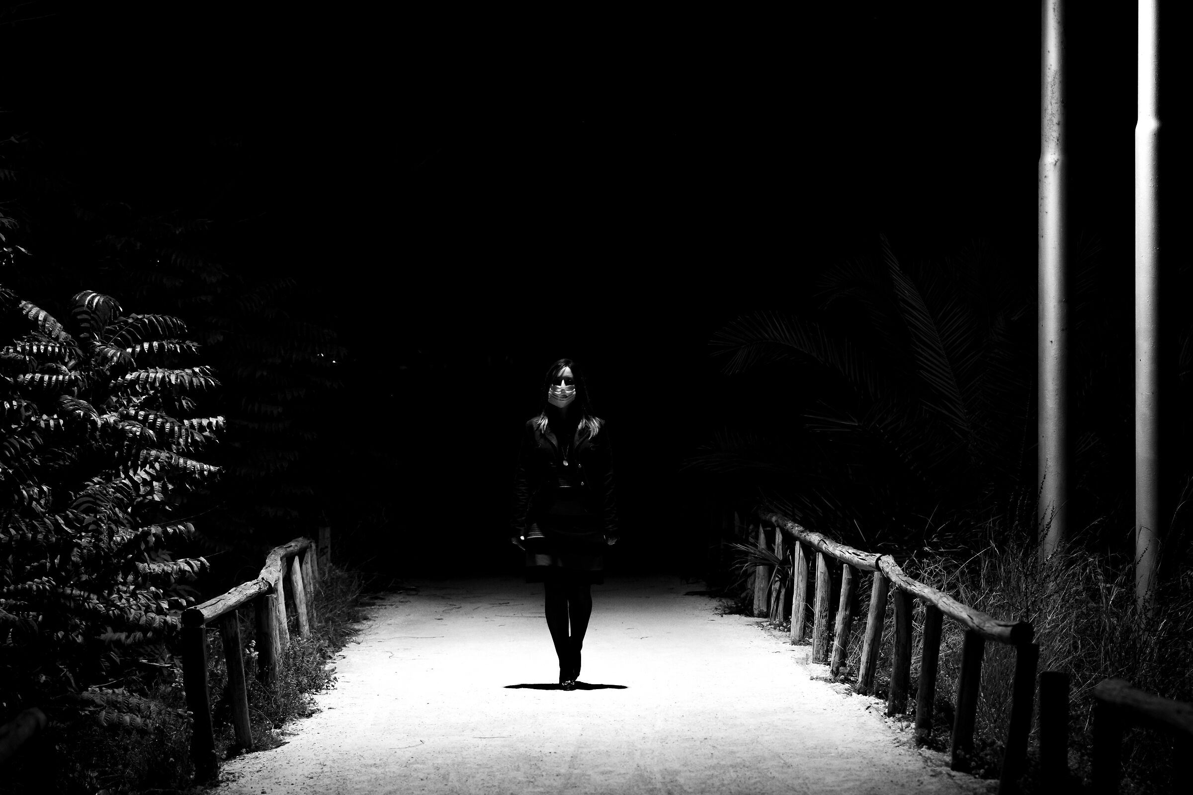 Summary of the Covid moment