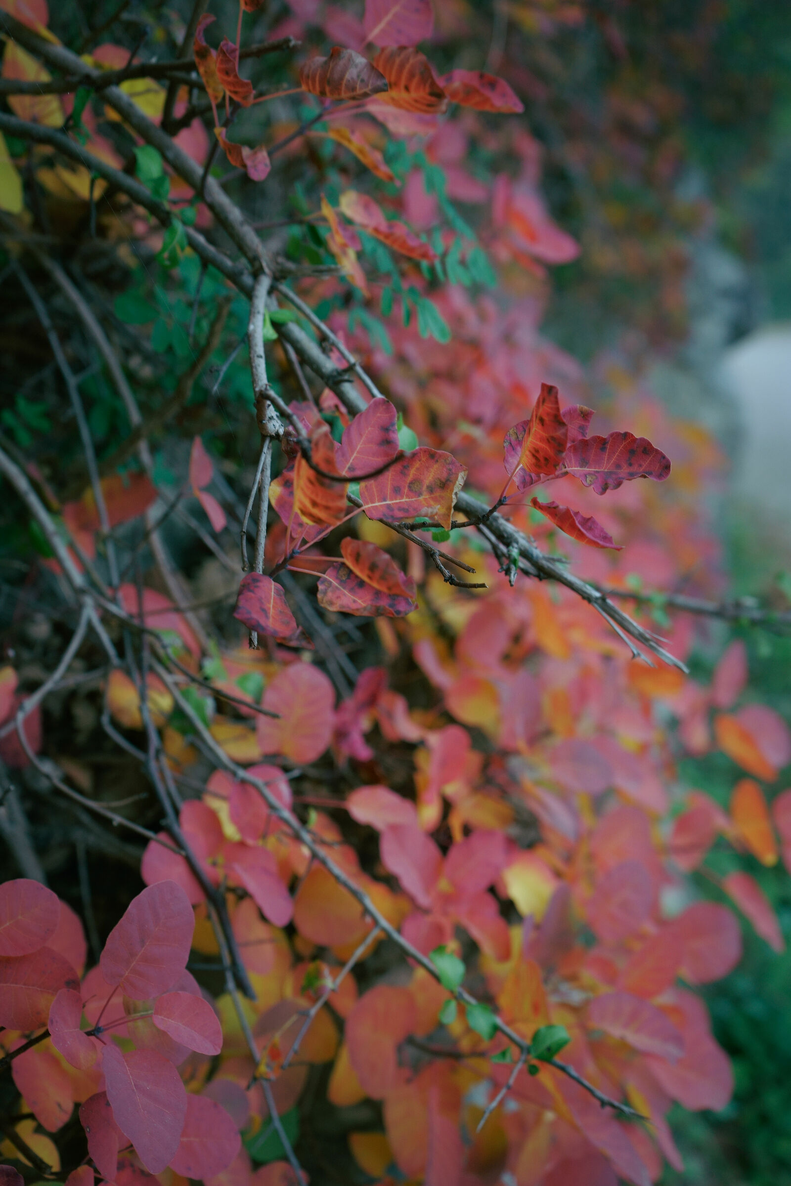 "Sul ciglio della strada"