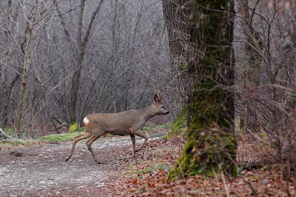 Unexpected encounters ...