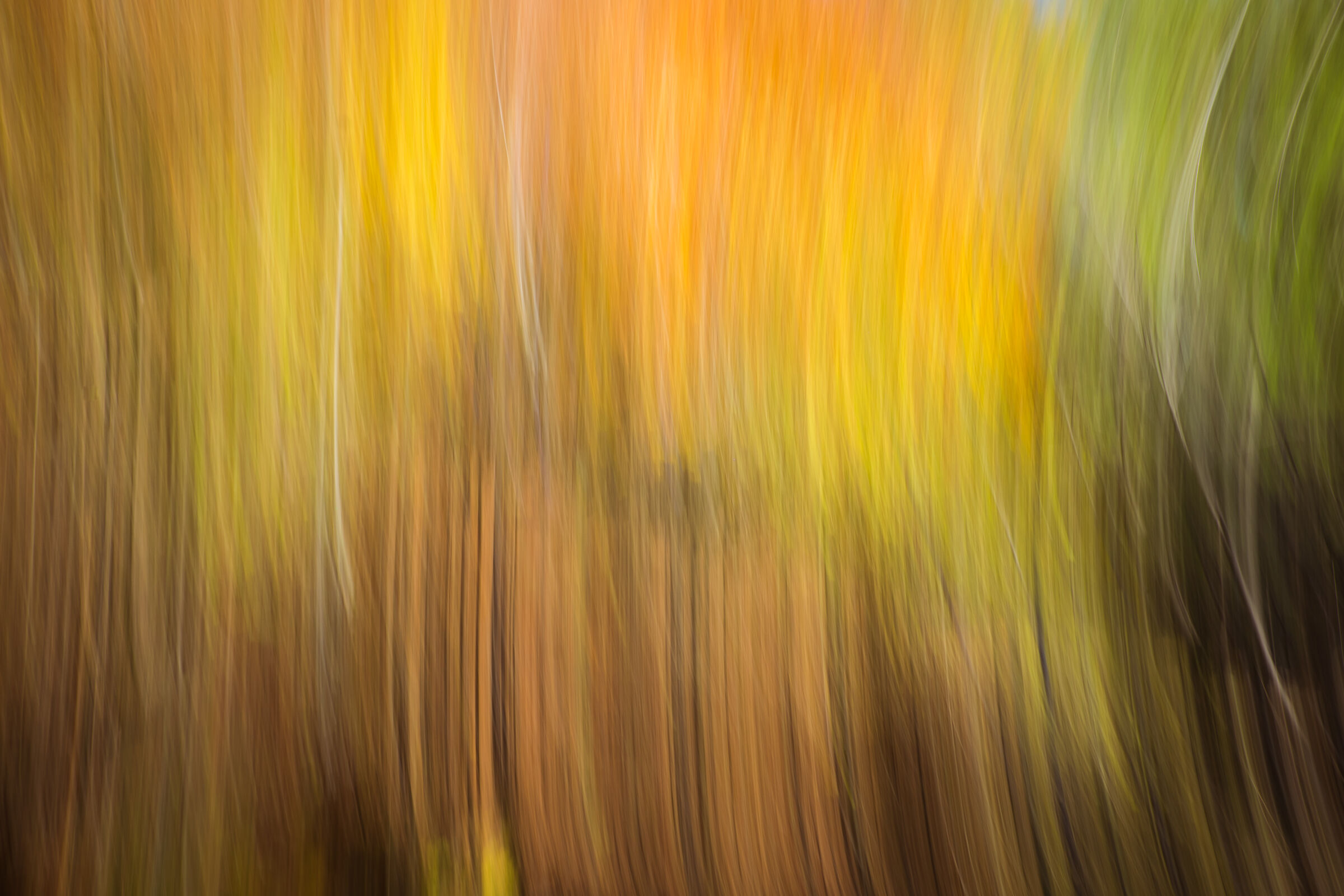 Autumn colors