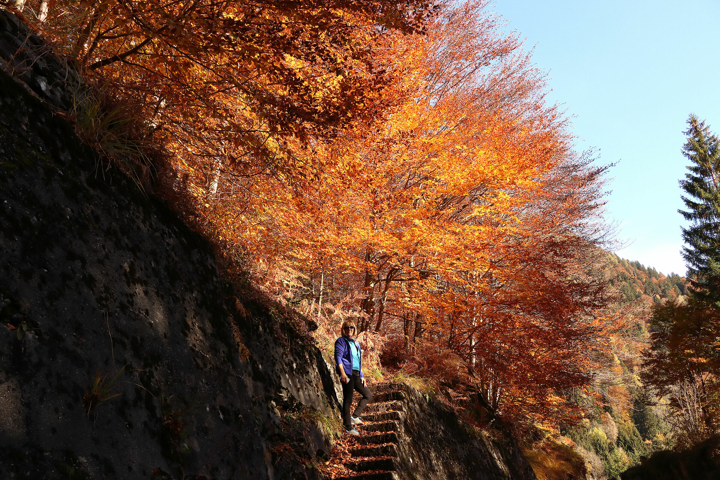 V A L  -  F U M O    14