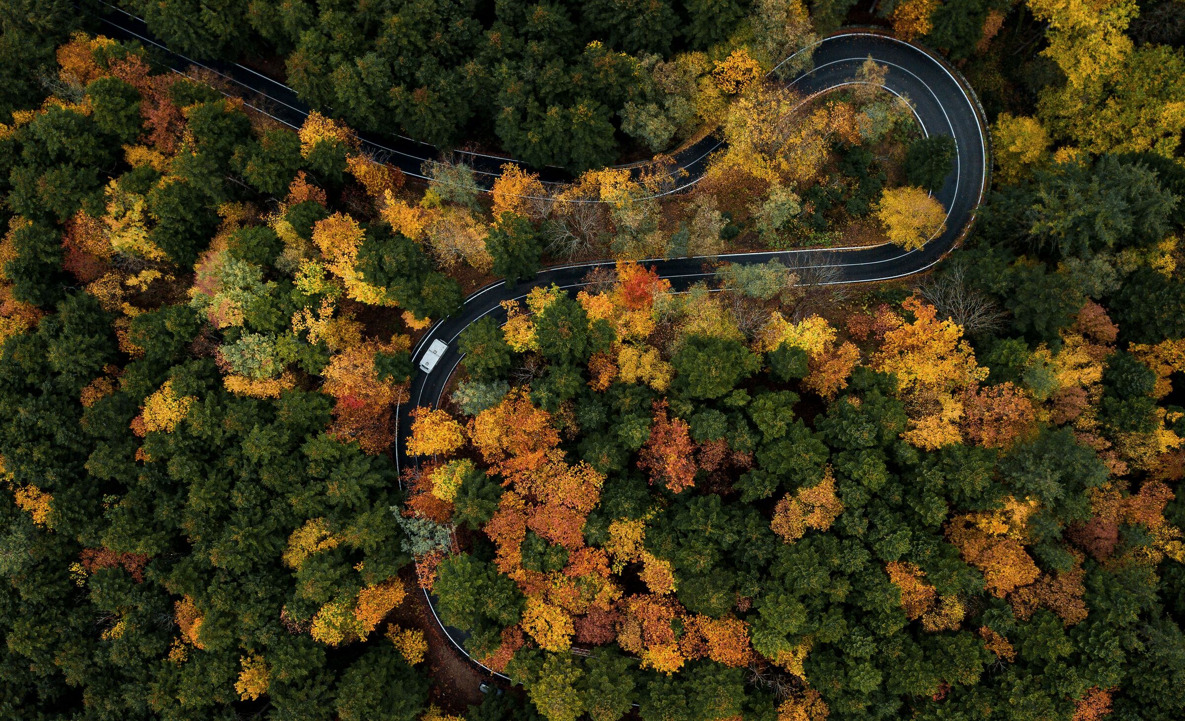 Autunno tra le curve - Vallombrosa (Fi)