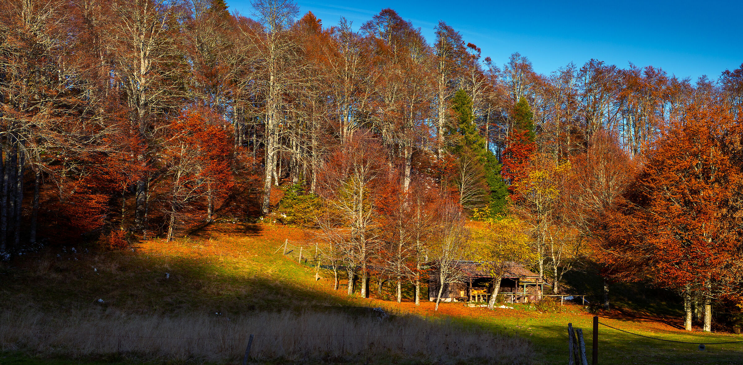 Autunno in Cansiglio - Angolo di paradiso
