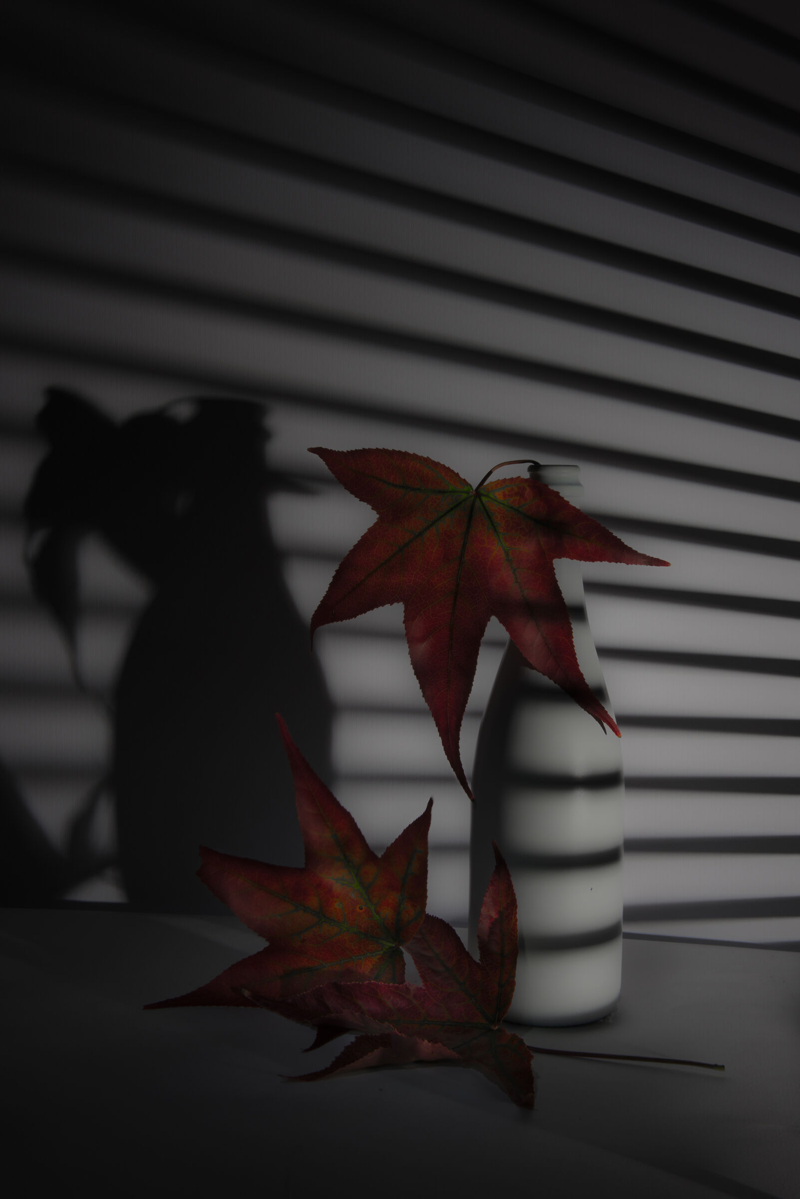 Autunno 2020 (Covid)