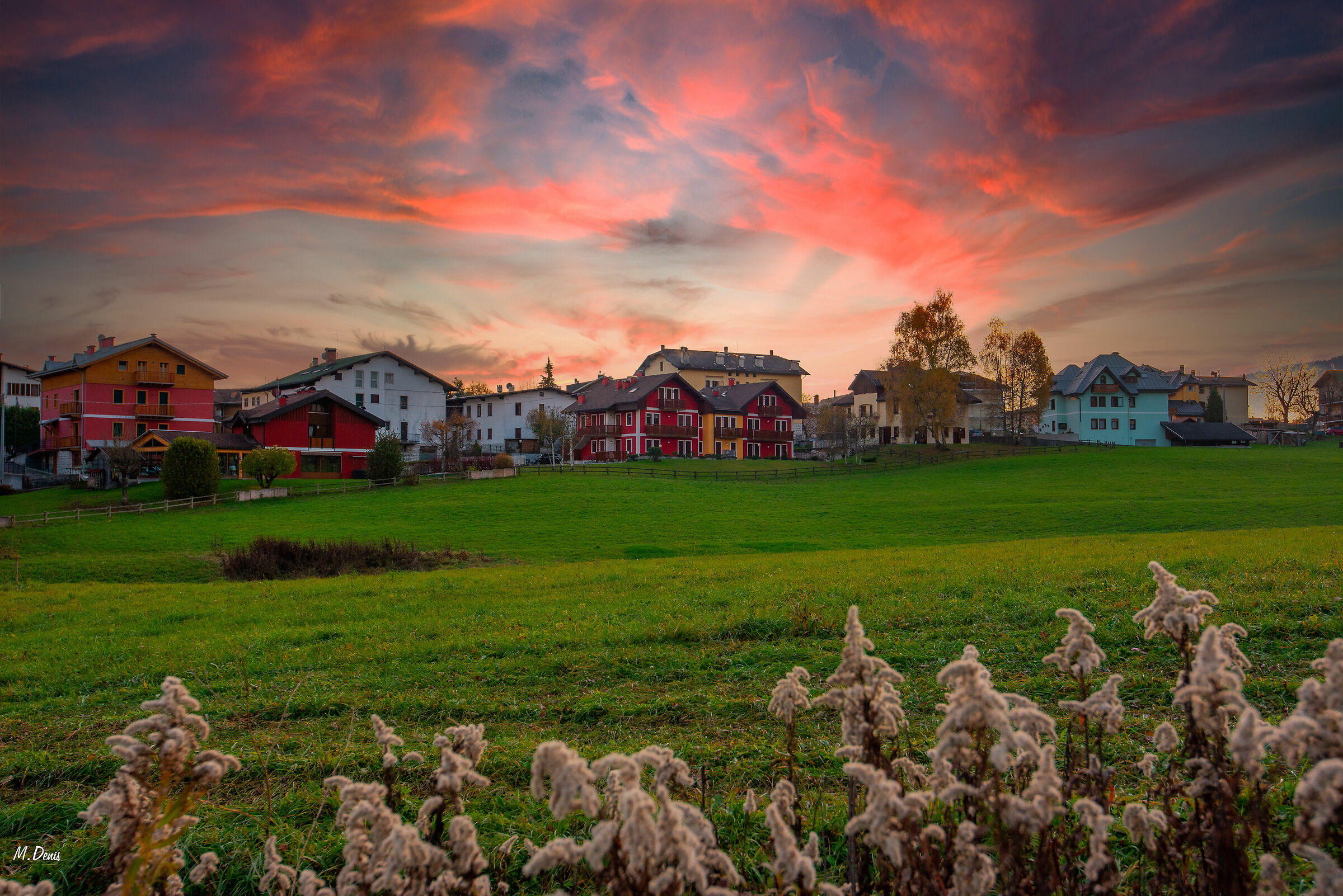 Asiago