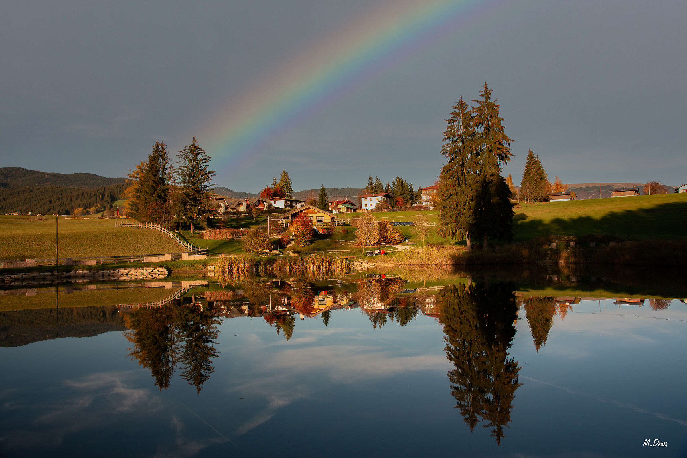 Pond 1