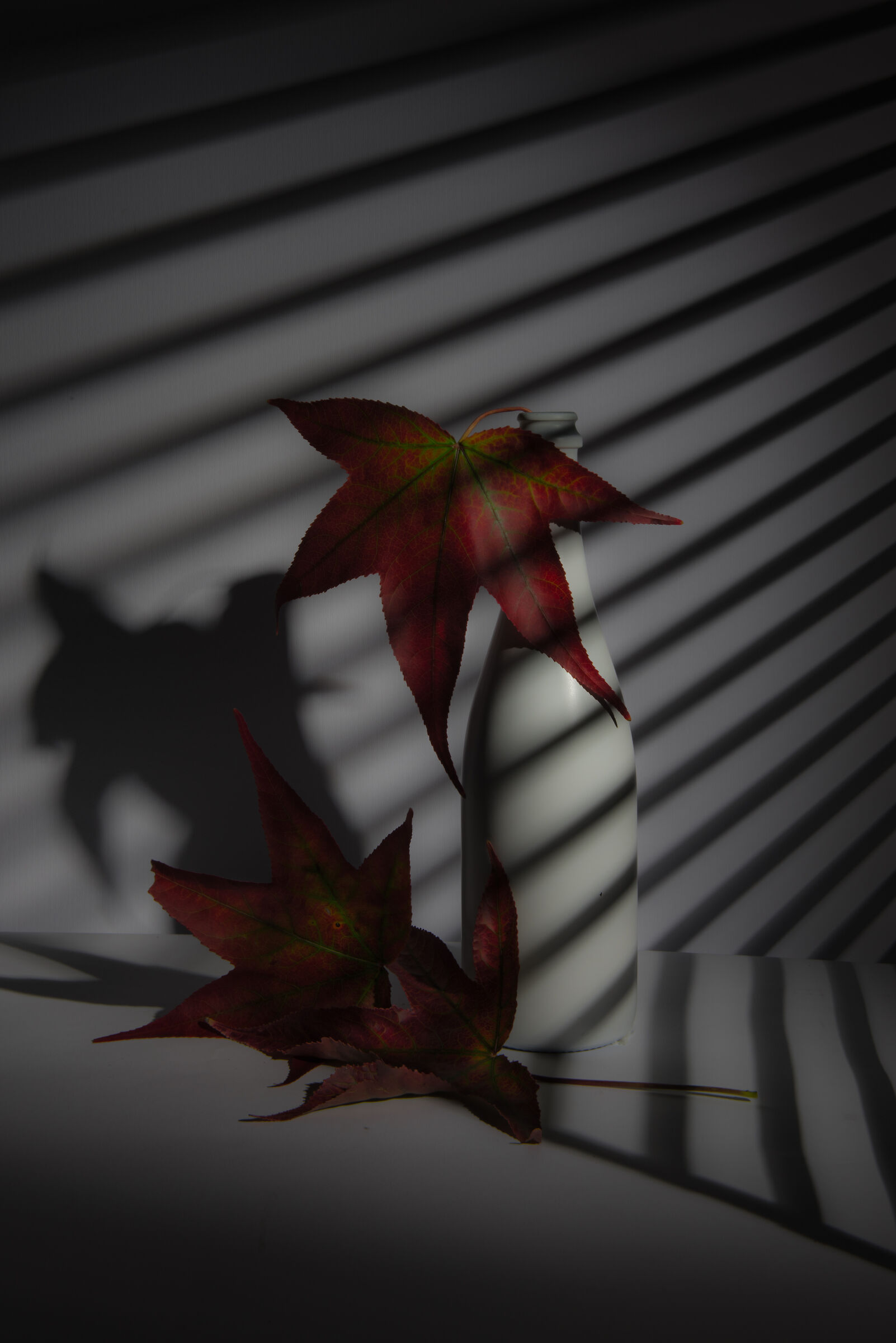 Autunno 2020 1 (Covid)