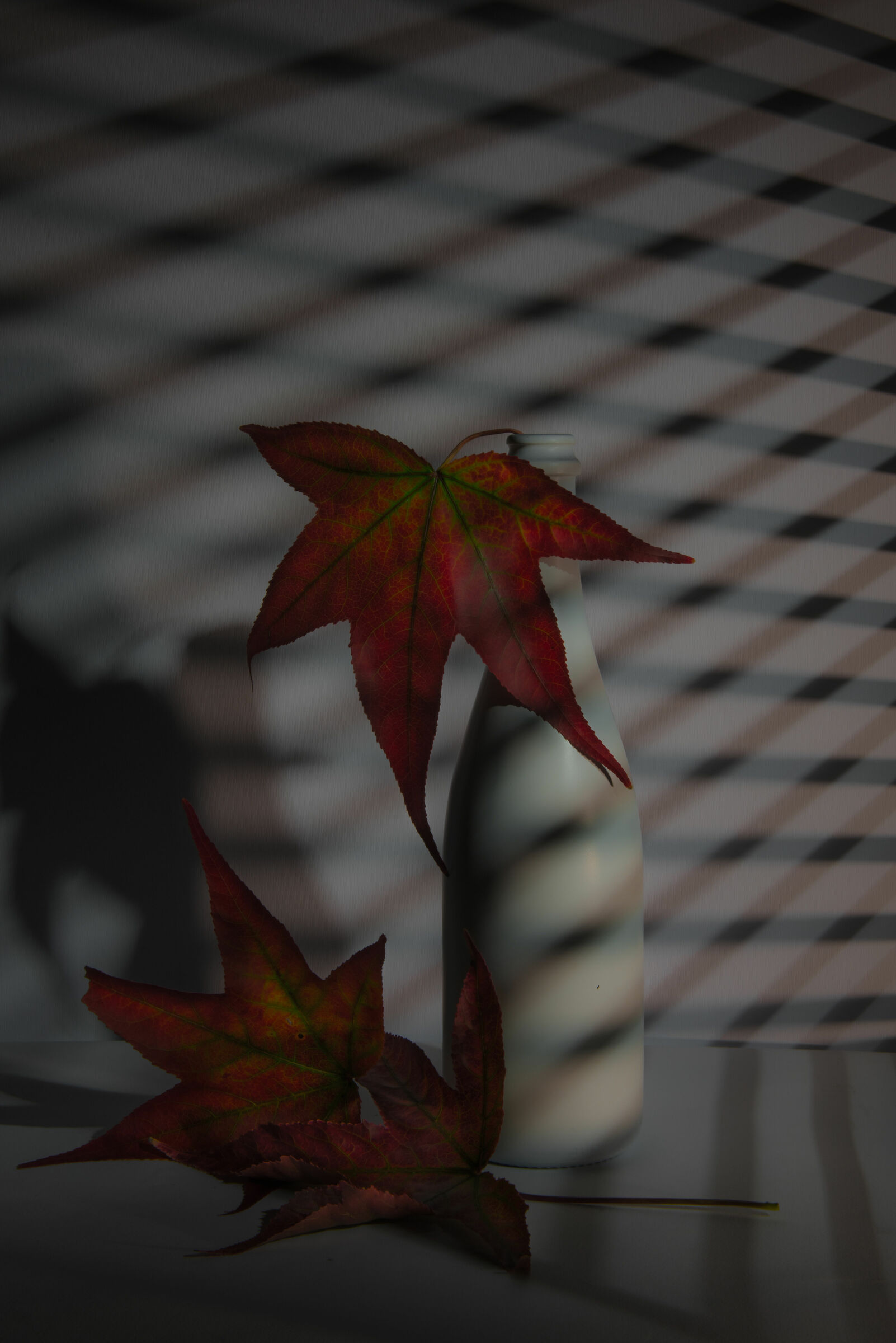 Autunno2020 2 (Covid)