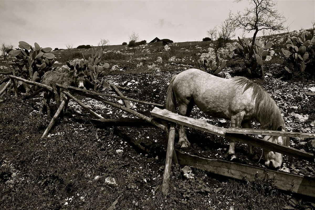 ...in fattoria, tanto tempo fa.