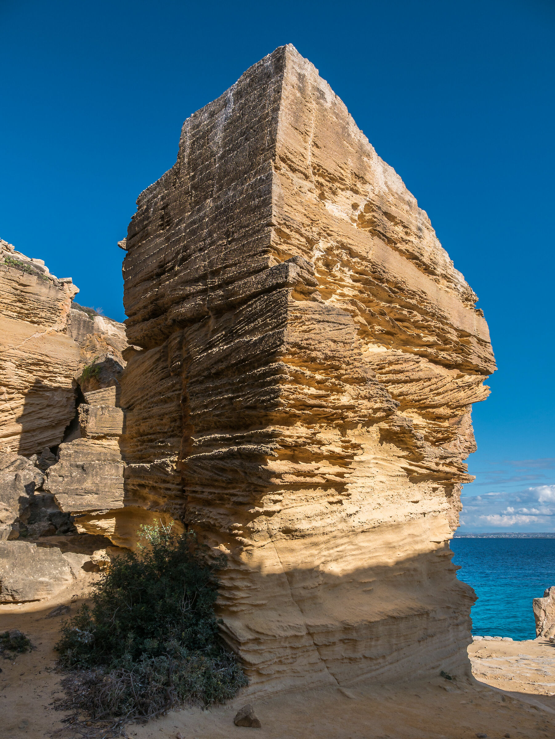 Favigna - Bue Marino