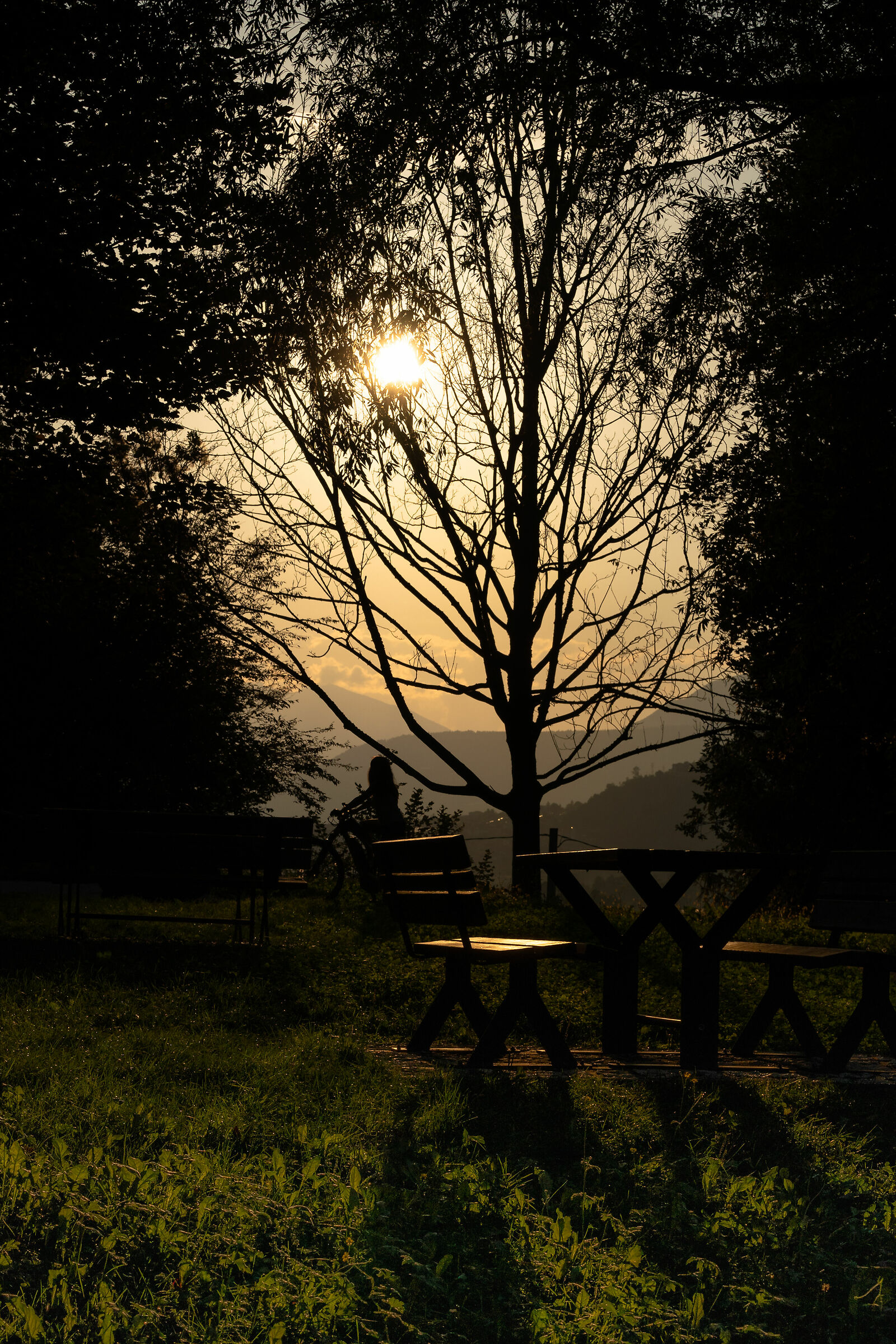 Sul sentiero dei Piccoli Frutti - Val dei Mocheni