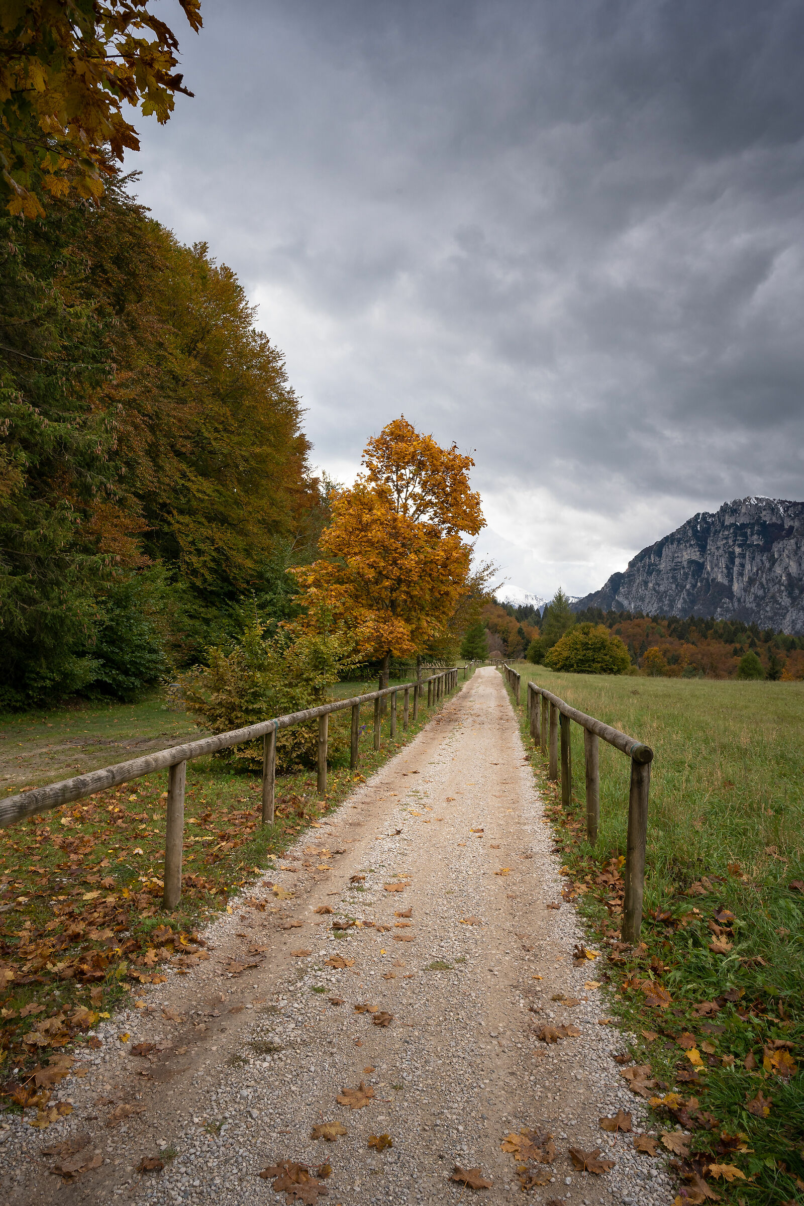 Verso il lago di Tenno - Trentino