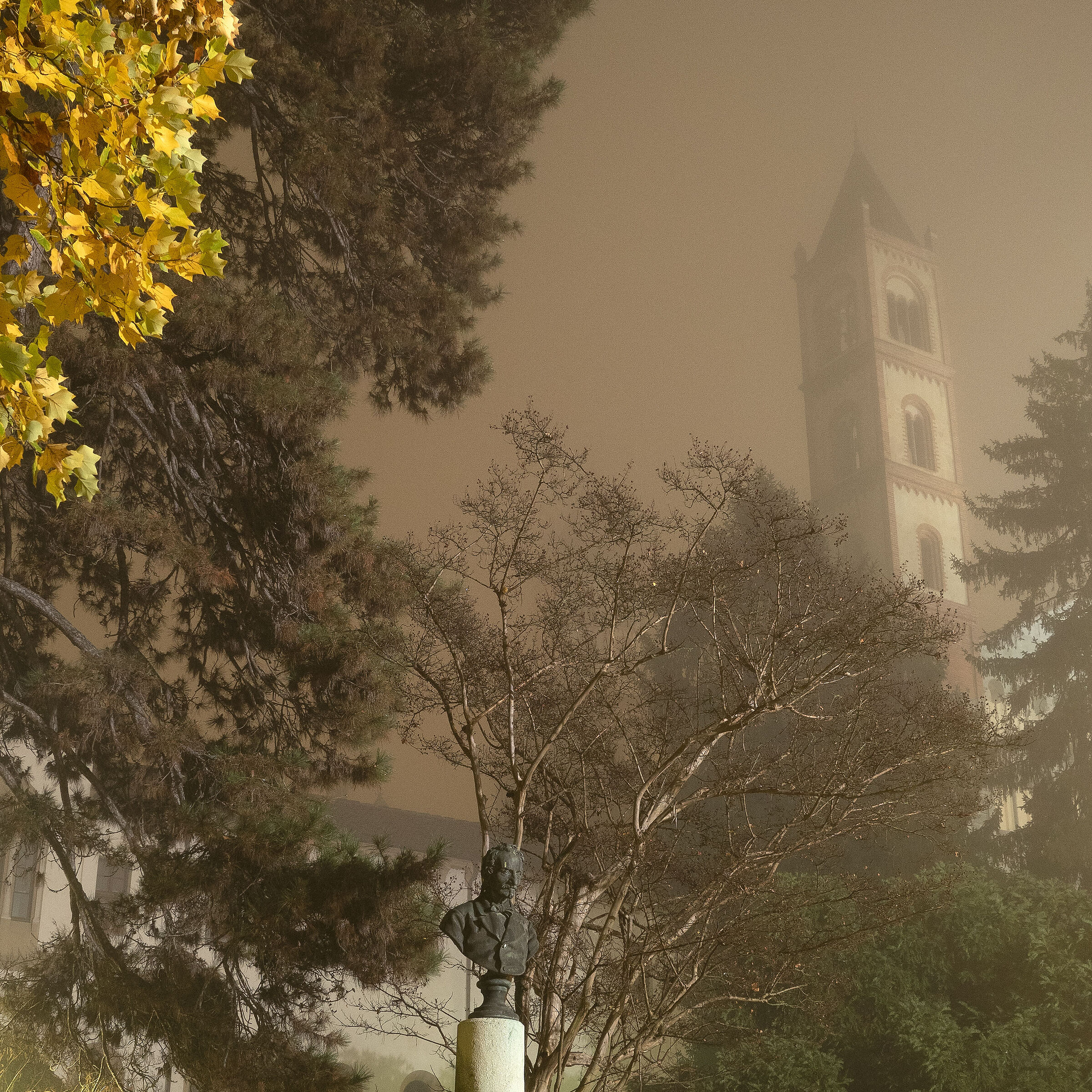 nebbia a Vercelli