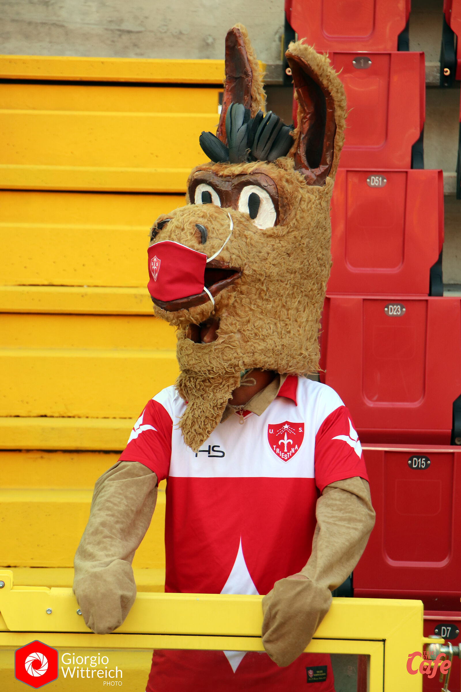 the mascot