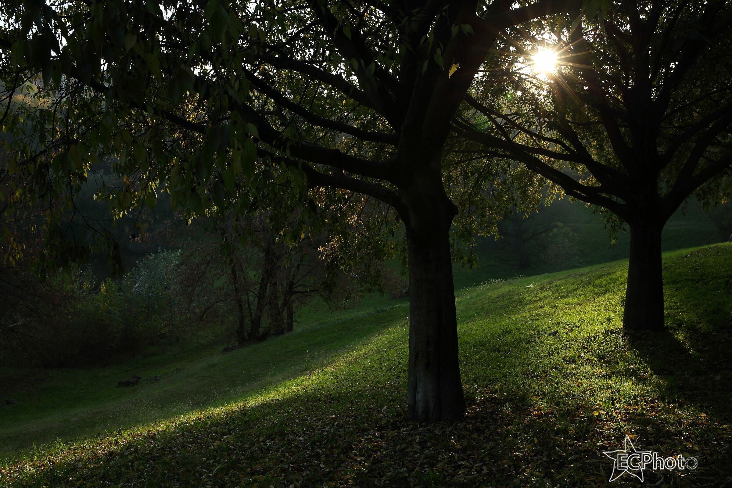paesaggi da fiaba.....dietro casa