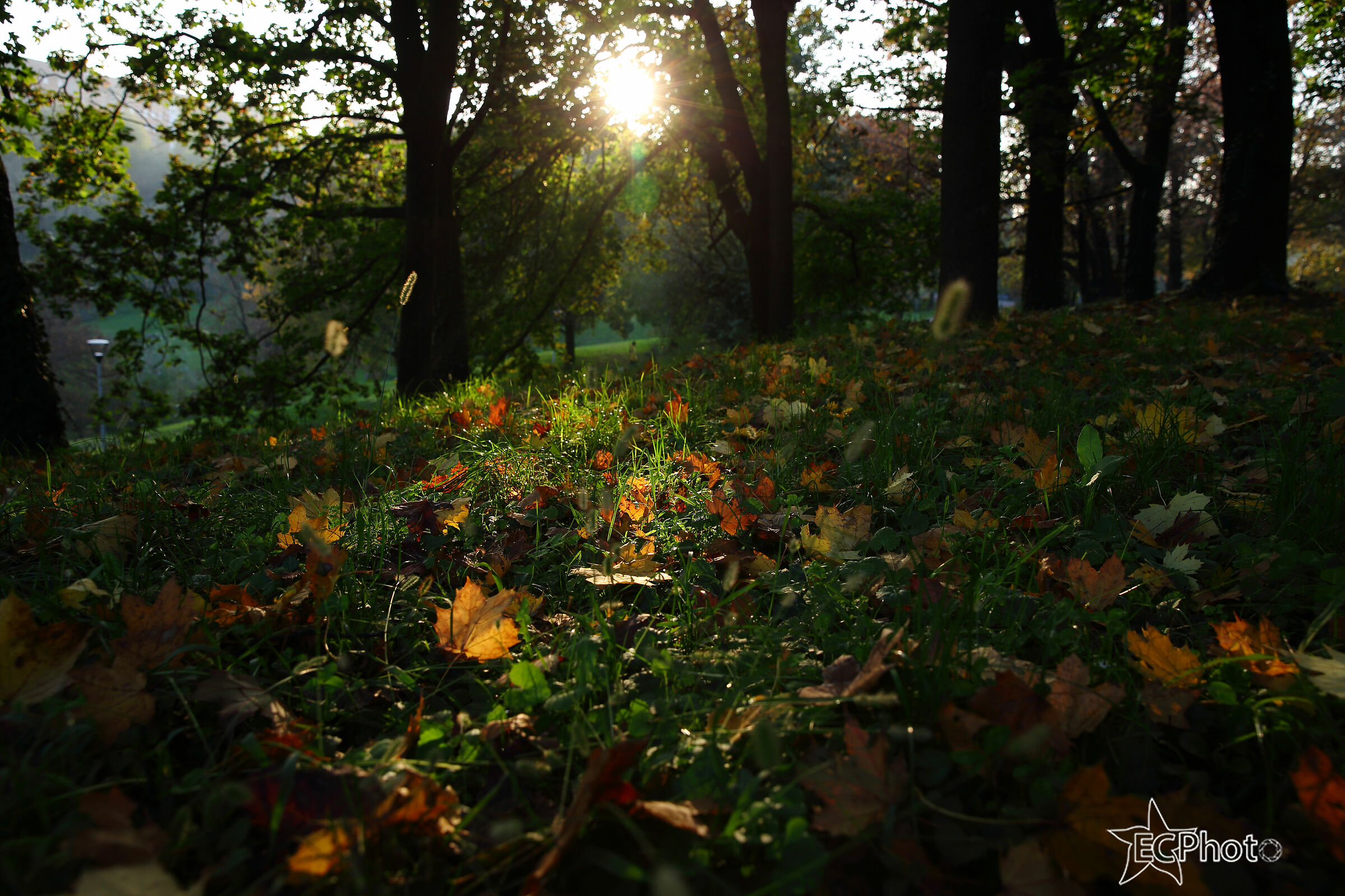 paesaggi da fiaba dietro casa
