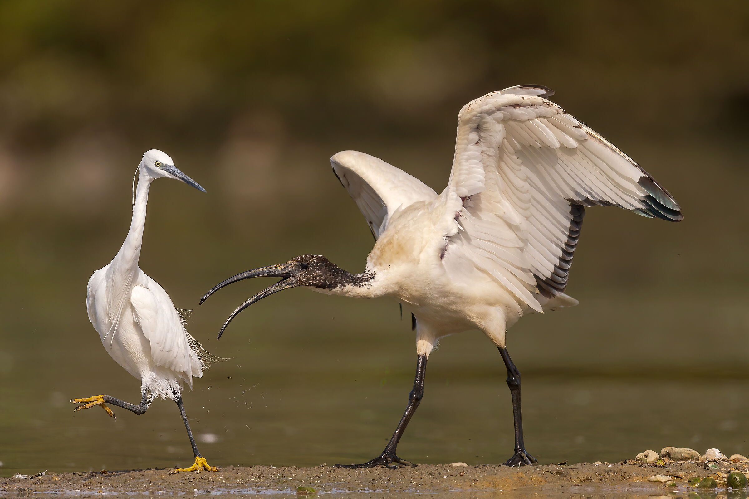 ...Fatti più in là...