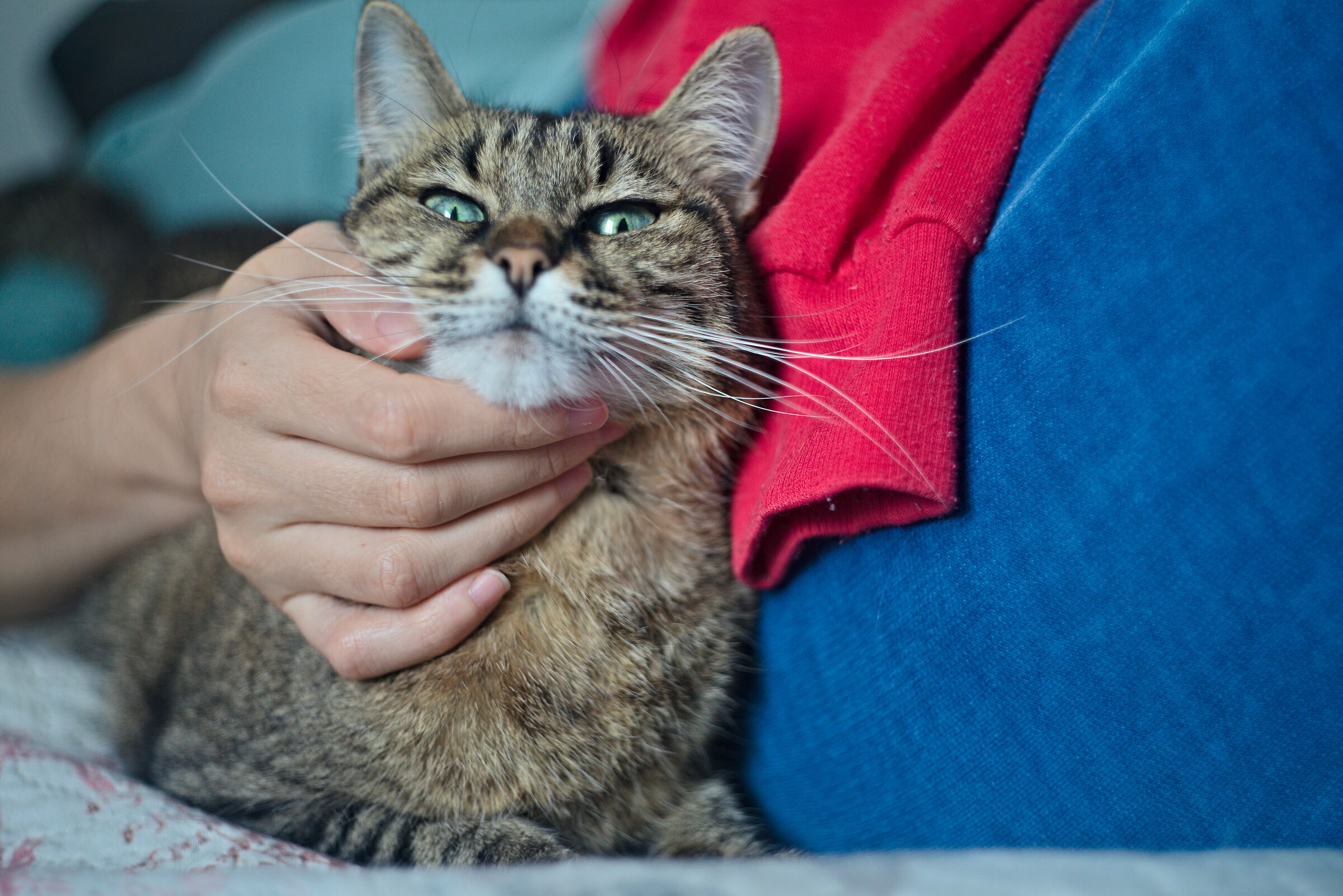 The ecstasy of pleasure