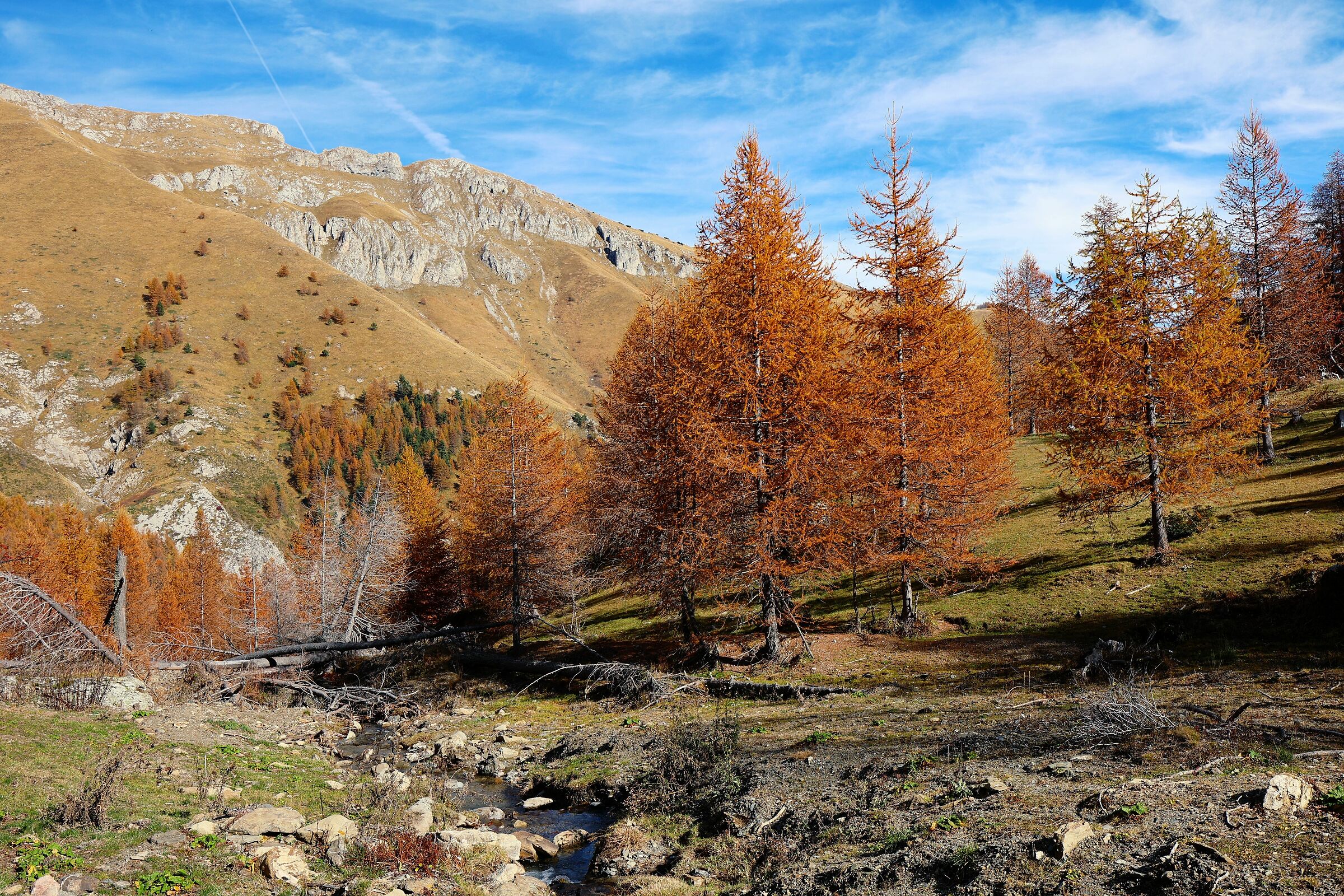Colori d autunno nel parco Marguerais