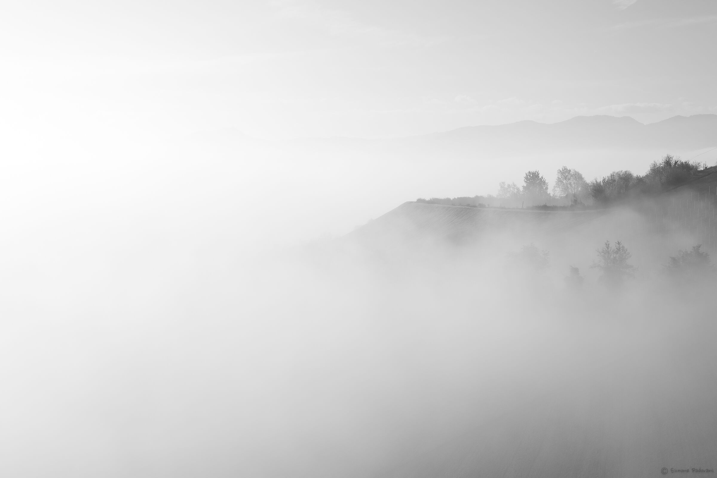 Foggy Monday
