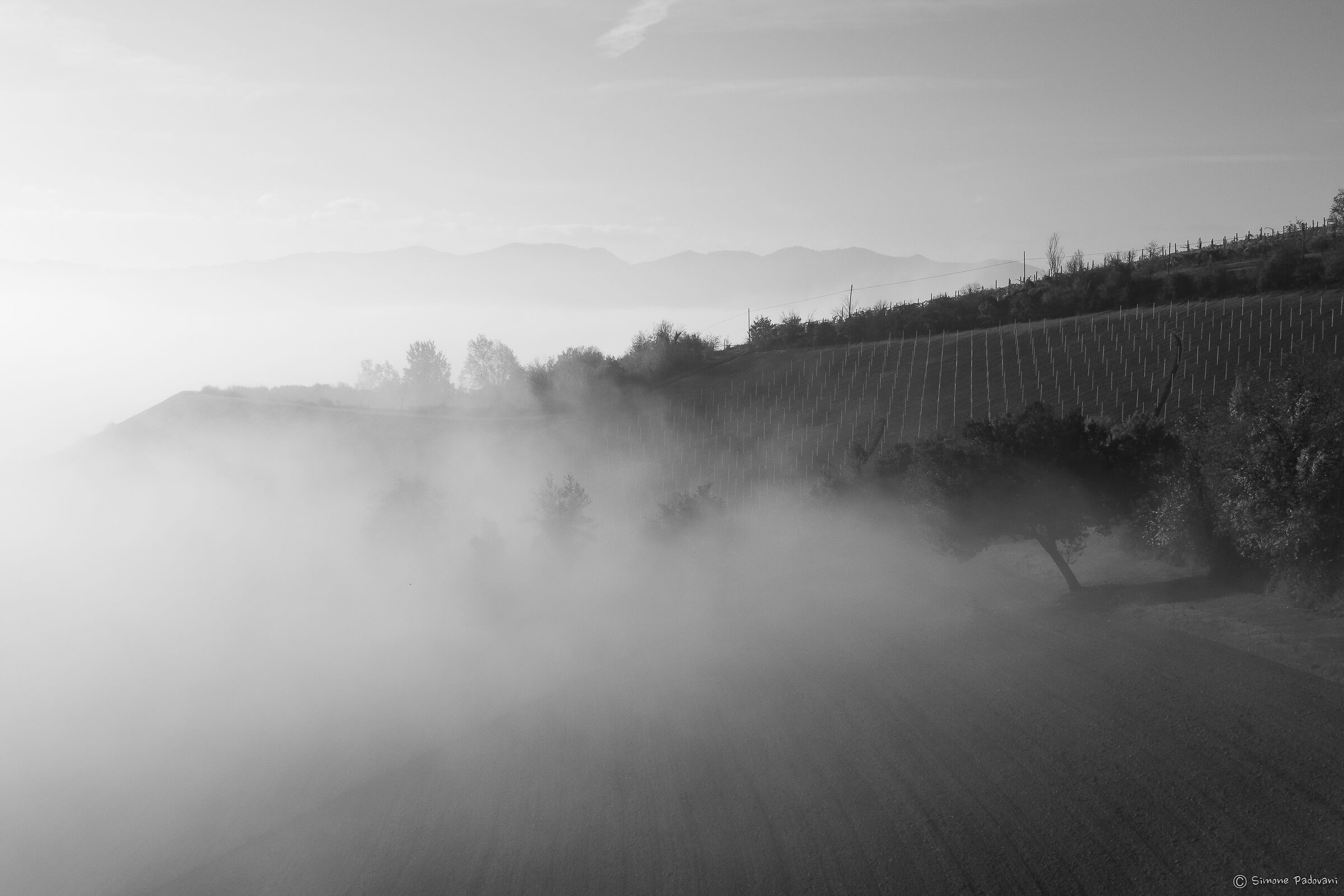Foggy Monday 2
