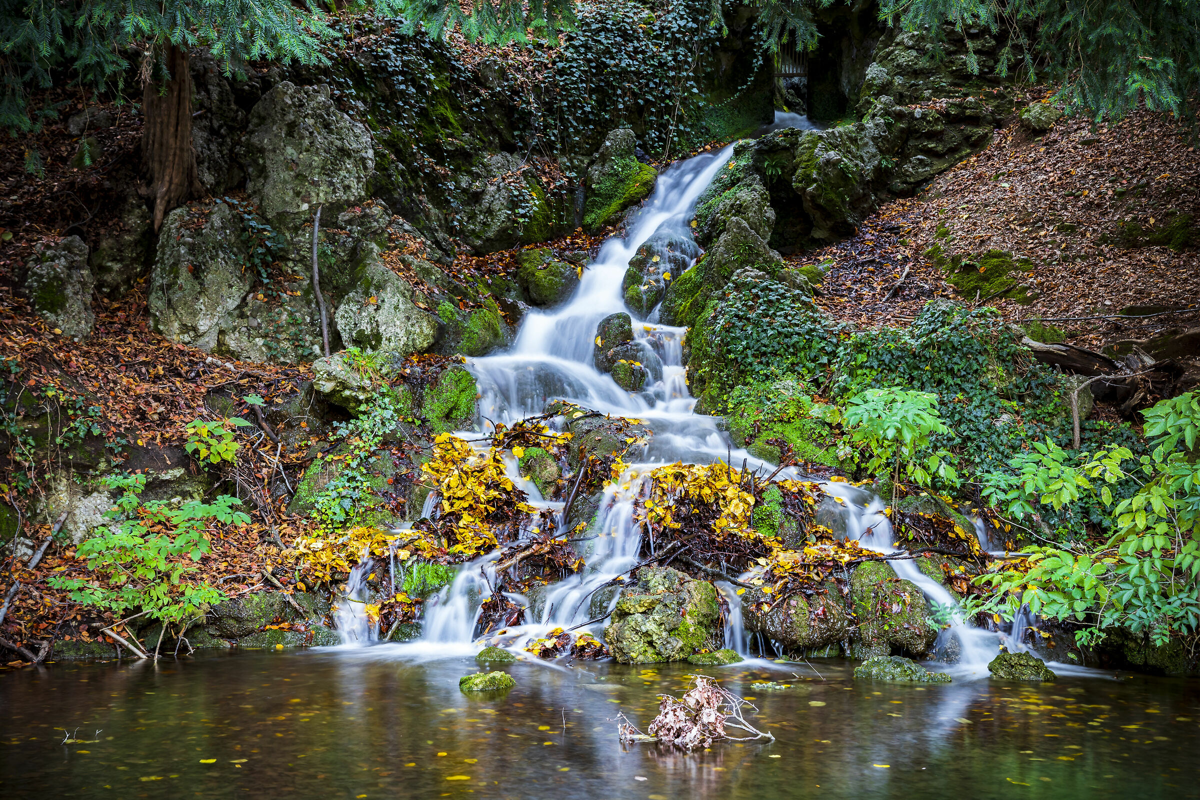 Autunno - Parco di Monza
