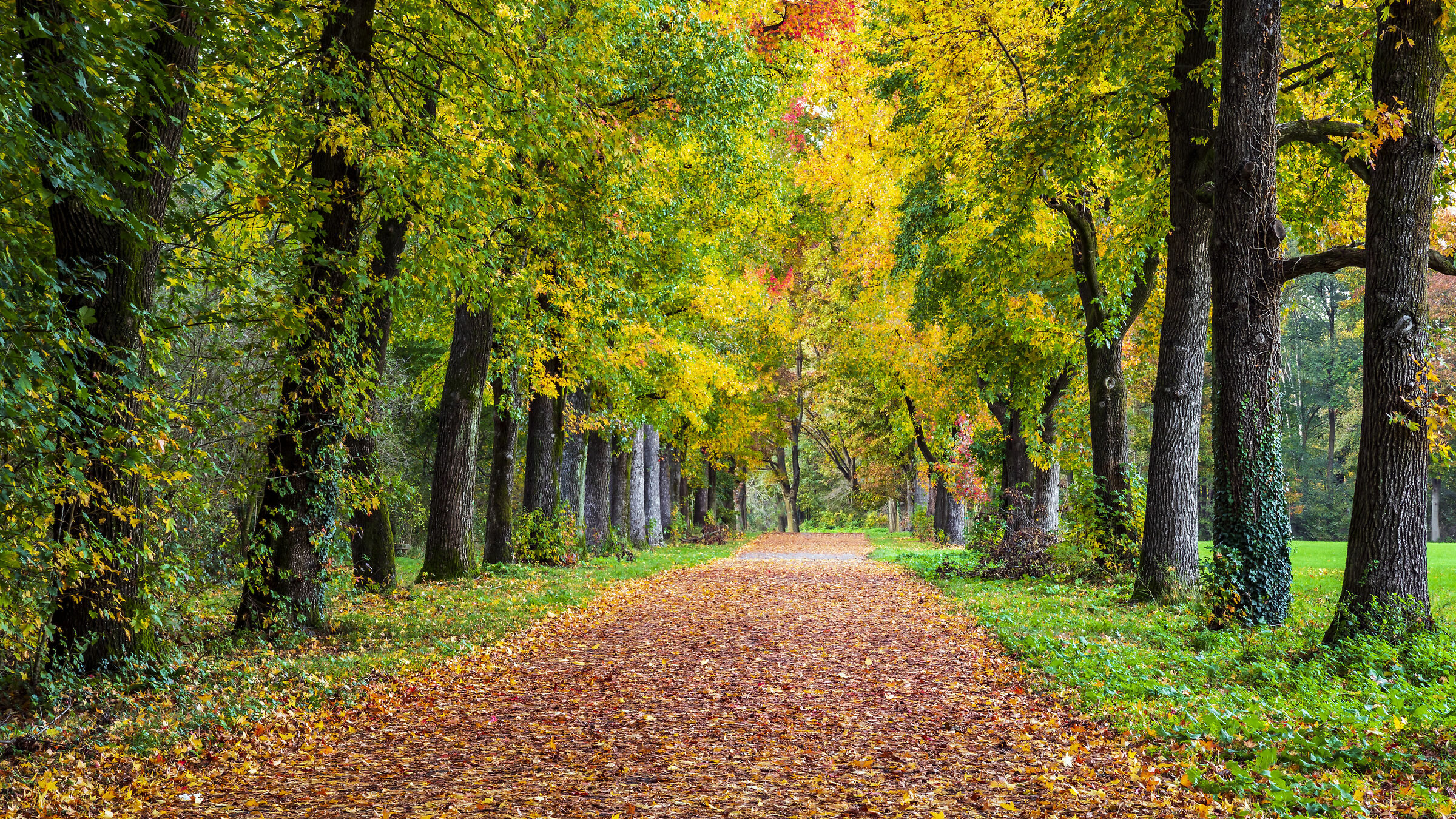 Autunno - Parco di Monza 2