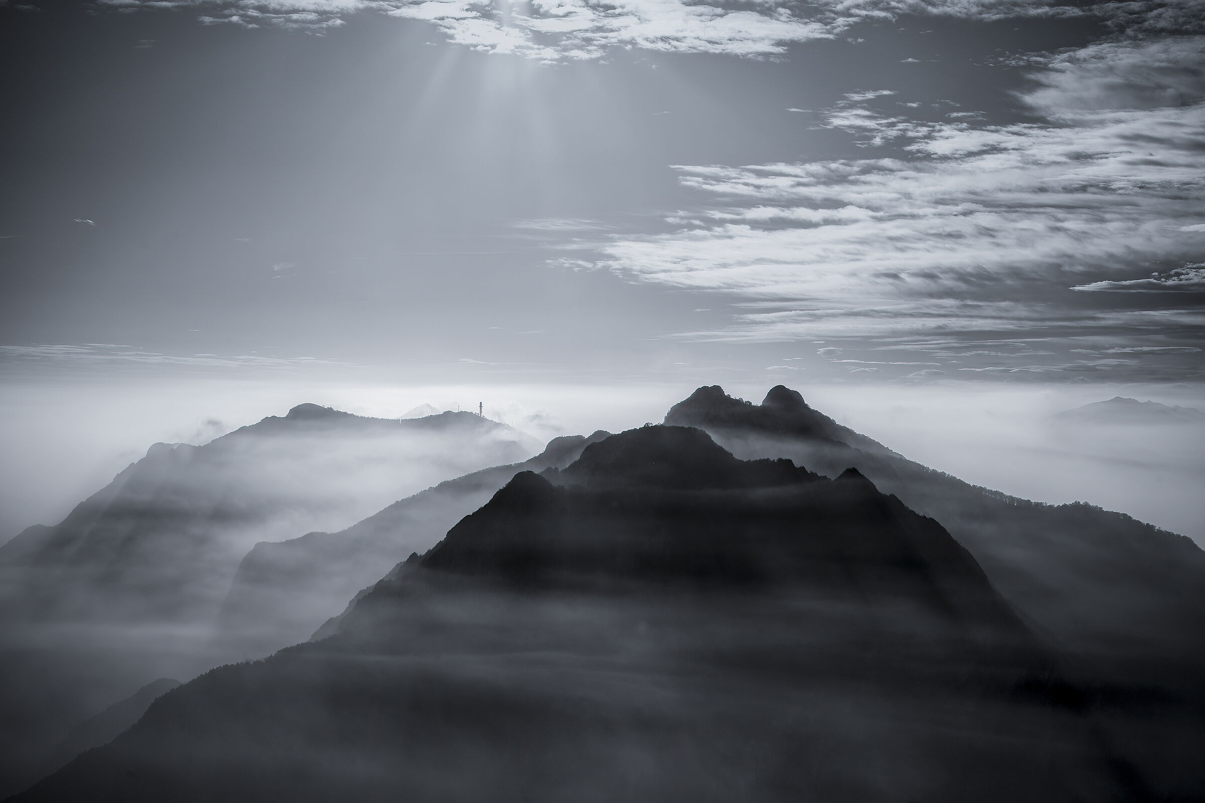 Black and White Dreaming