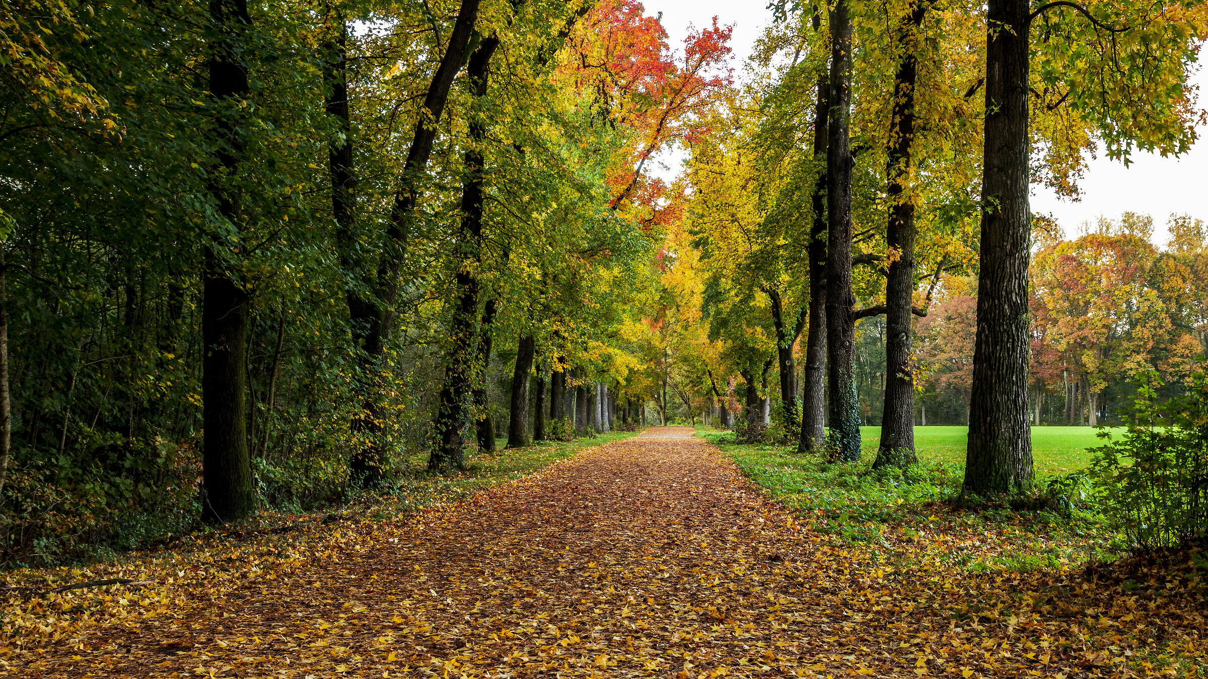 Autunno - Parco di Monza 3