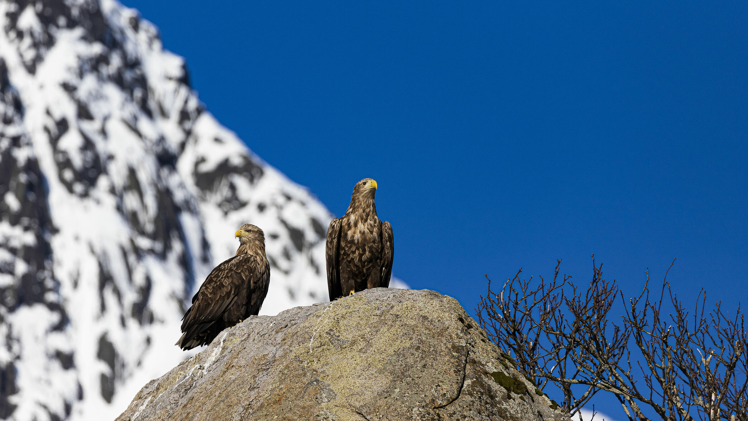 aspettiamo il nostro turno
