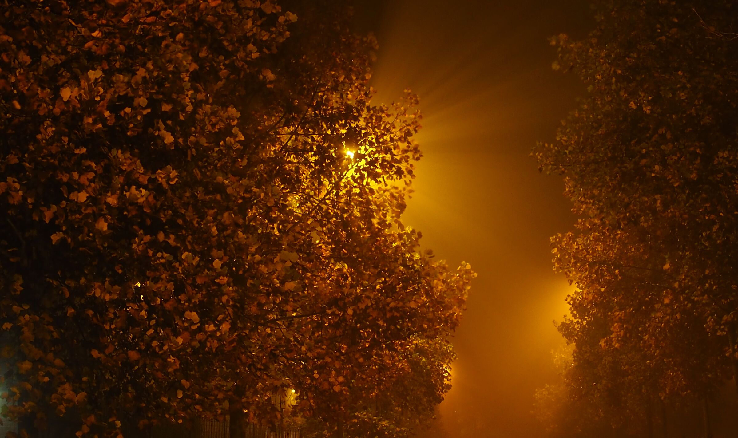 night of dark period, fog aside.