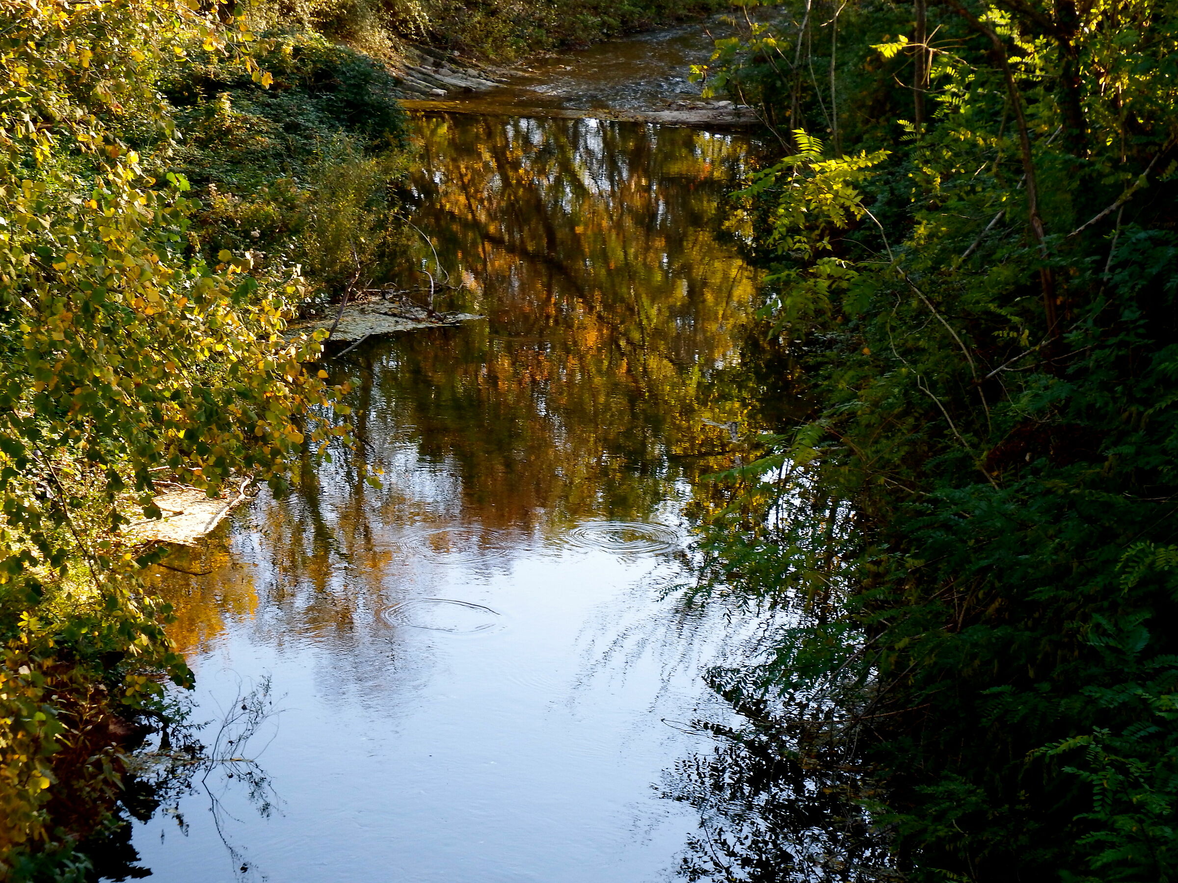 Un riflesso autunnale.