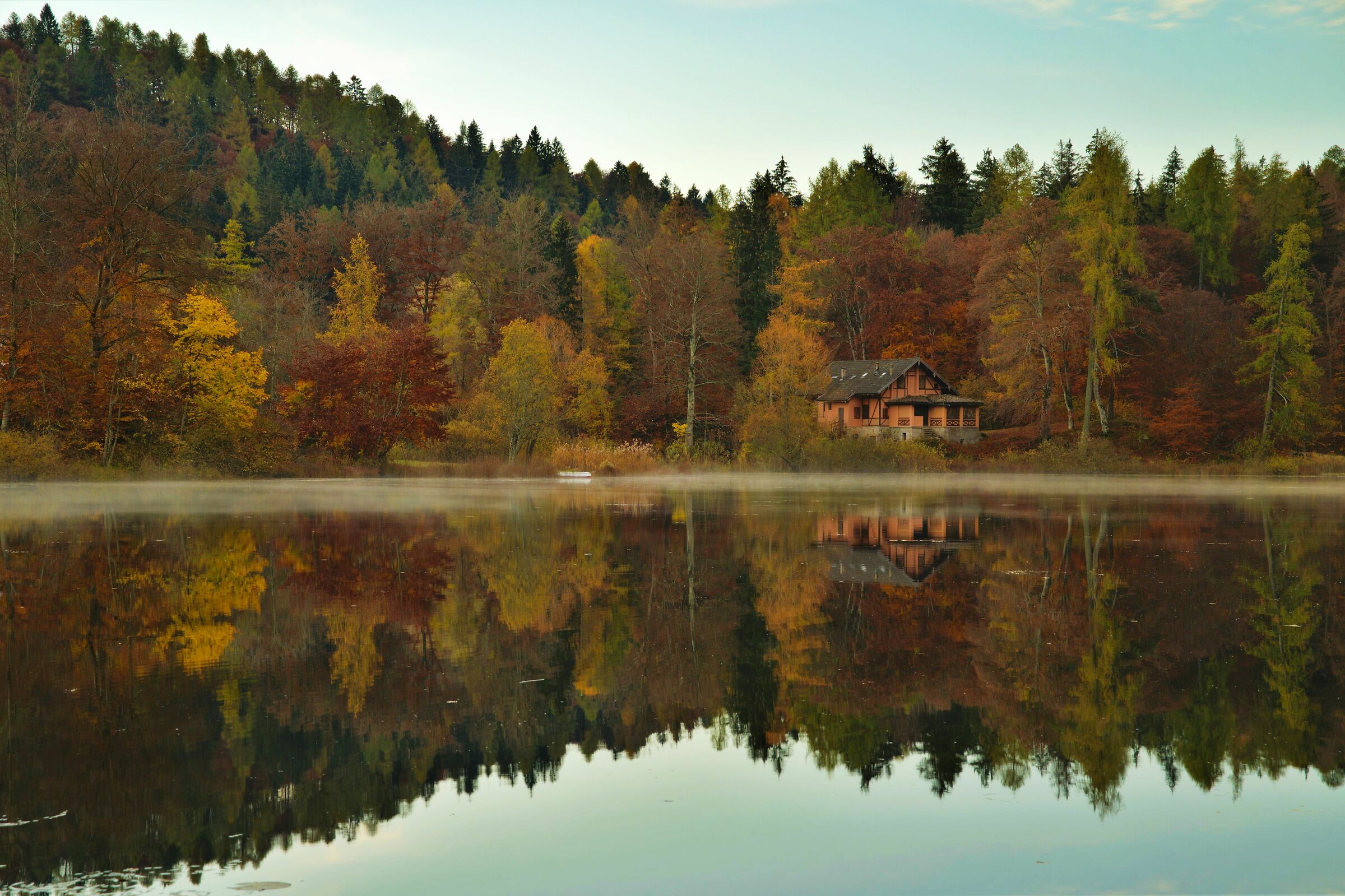 Nebbia bassa di buon ora..