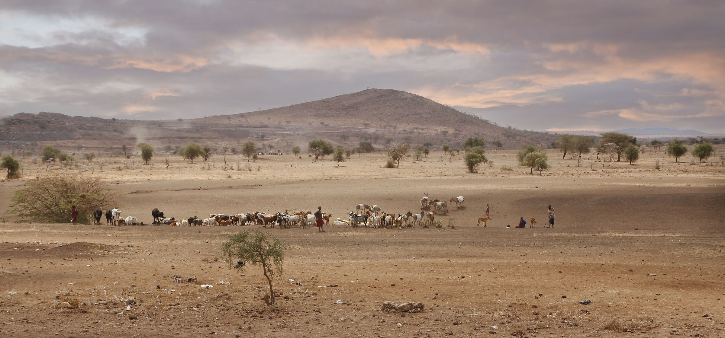 Serengeti. Paesaggio africano.
