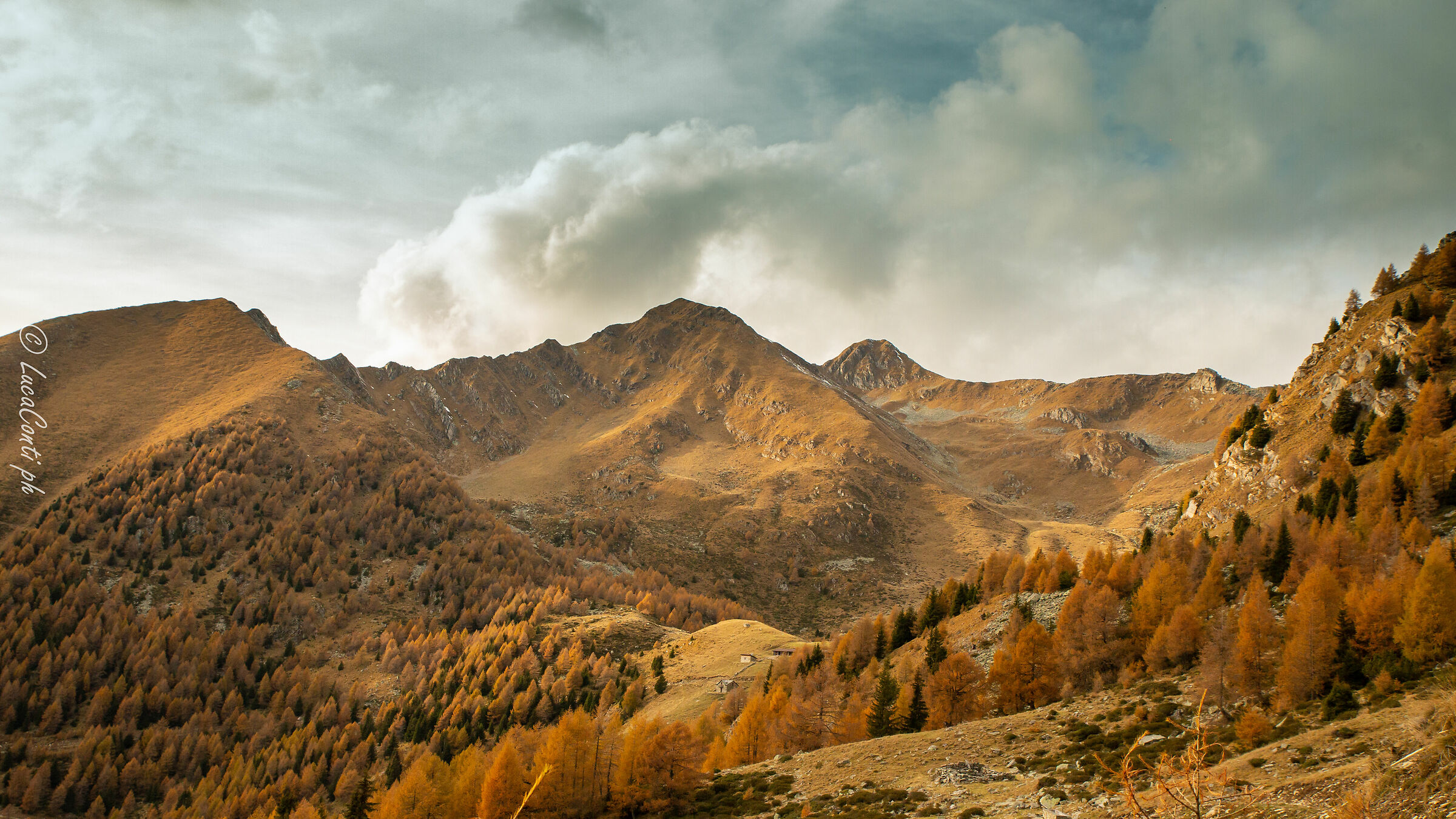 Valtellina (so) Alpe di Colina