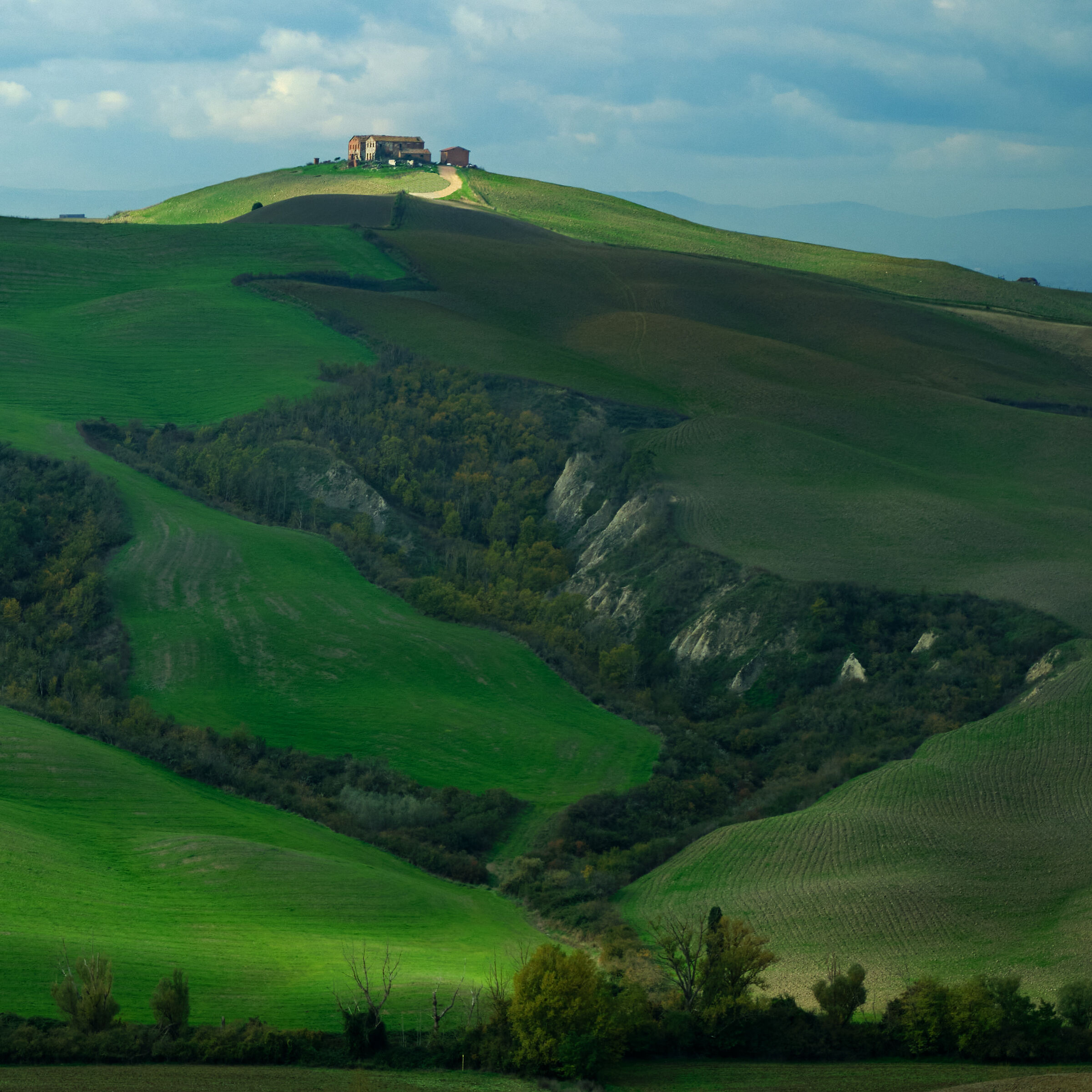 Tuscan Hills