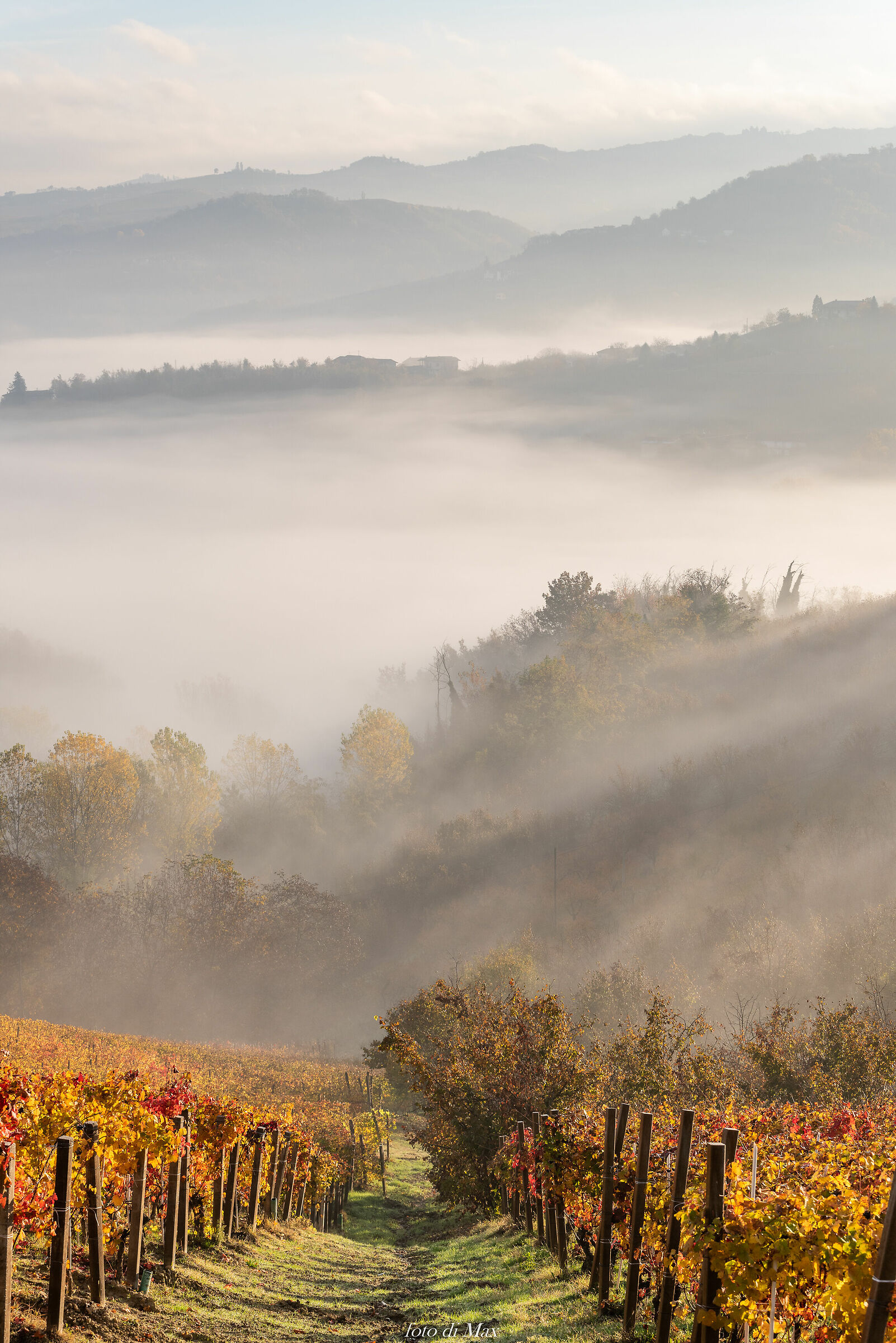 nebbia a valle